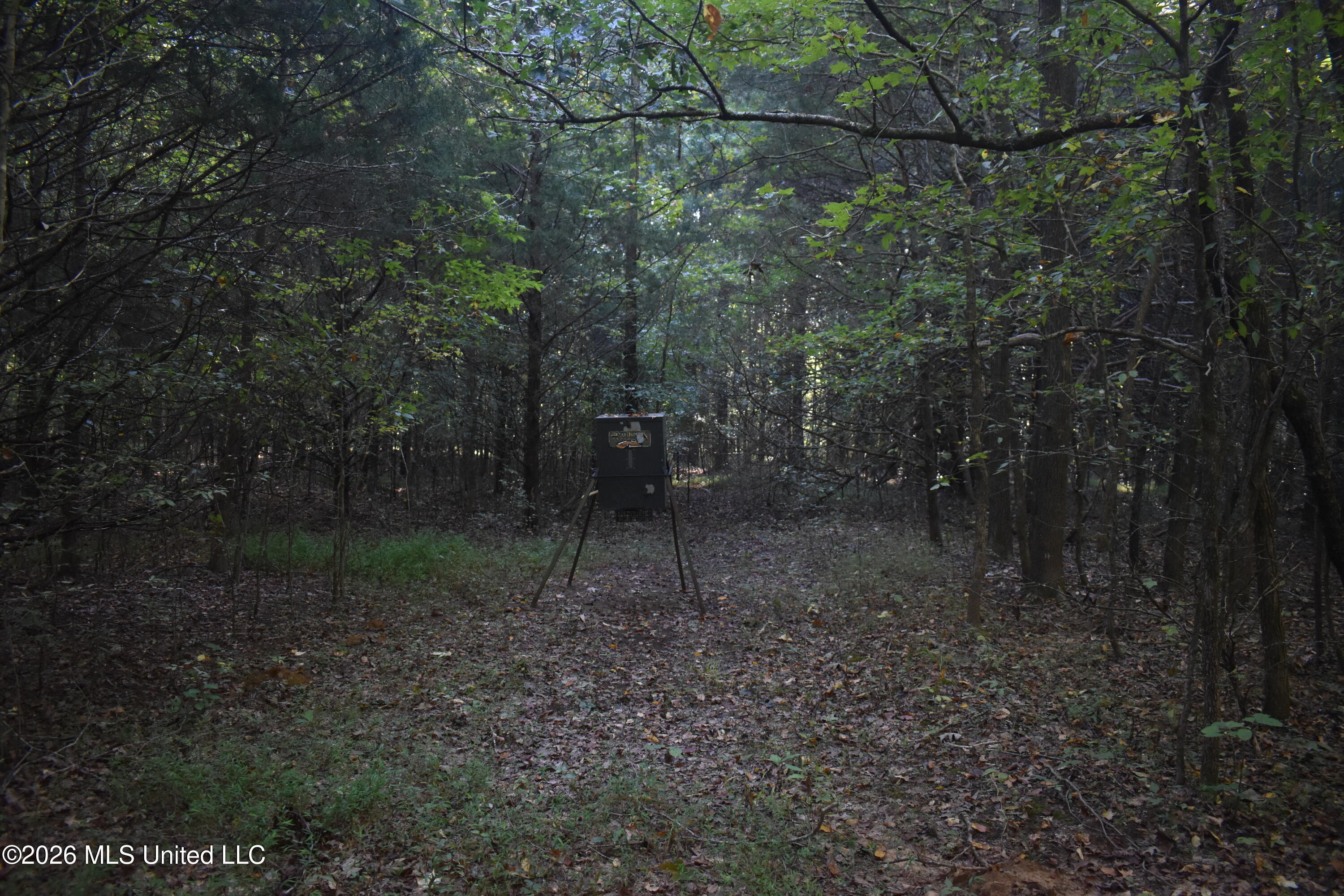 390 Old Panola Rd Property Photo 45