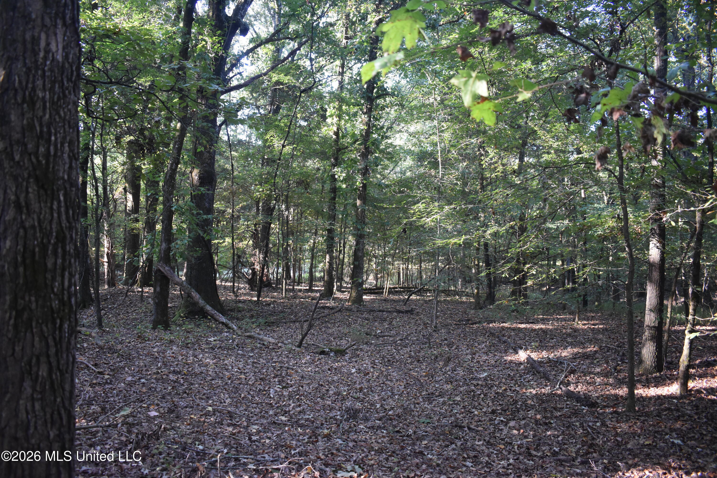 390 Old Panola Rd Property Photo 46