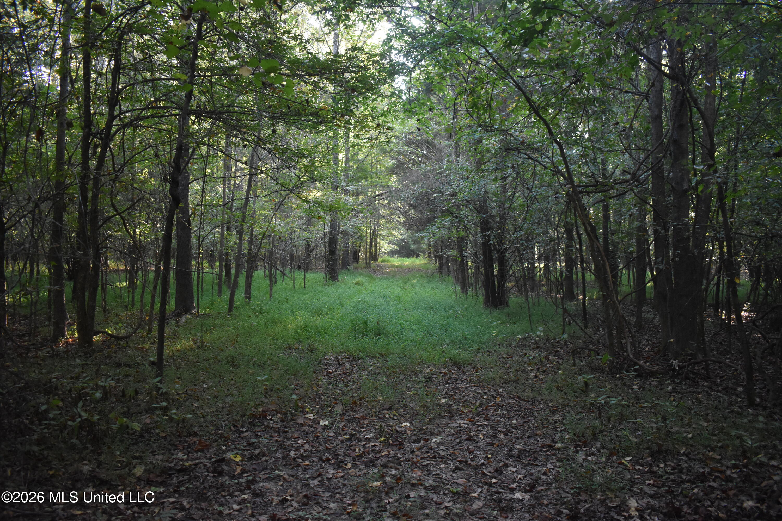 390 Old Panola Rd Property Photo 47