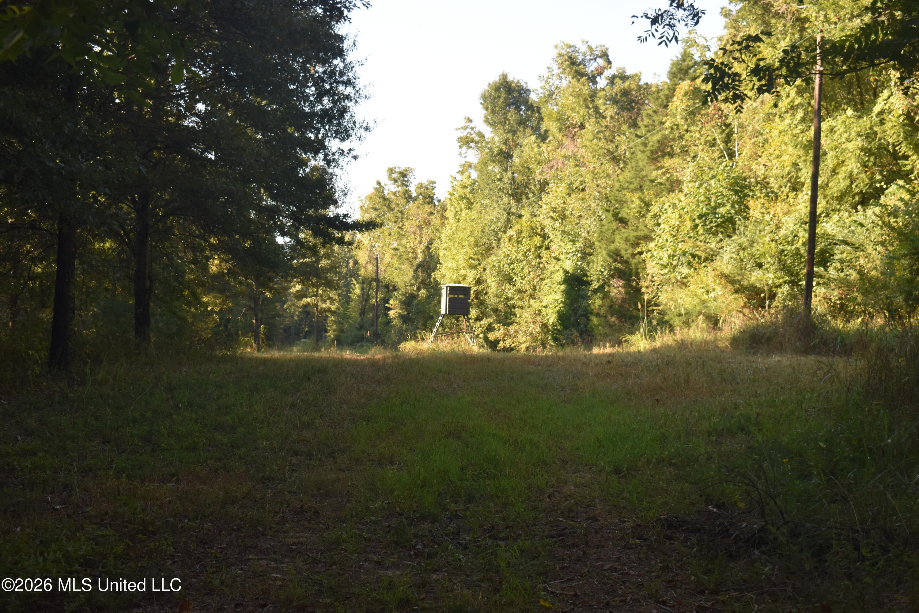390 Old Panola Rd Property Photo 48