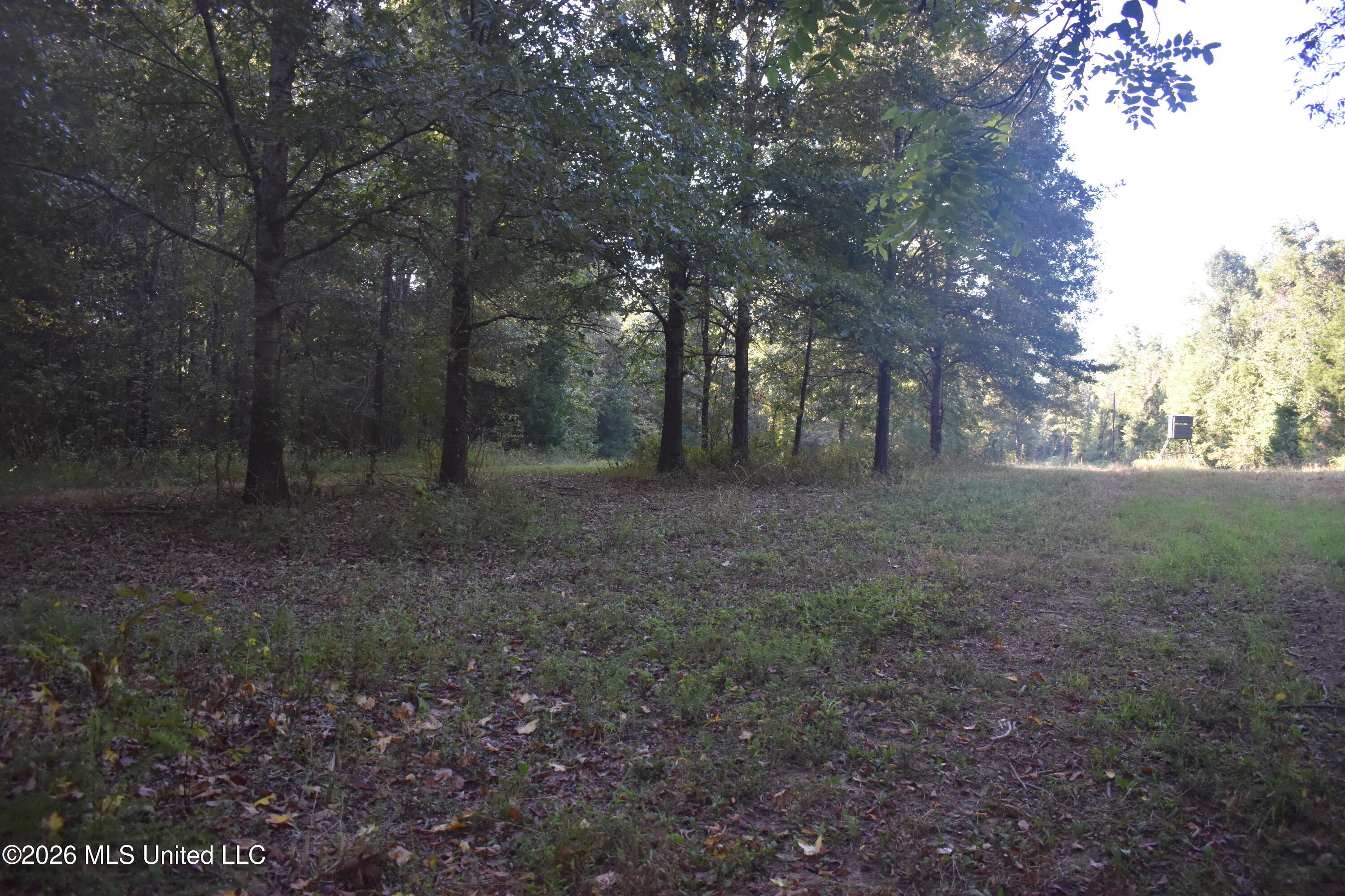 390 Old Panola Rd Property Photo 49