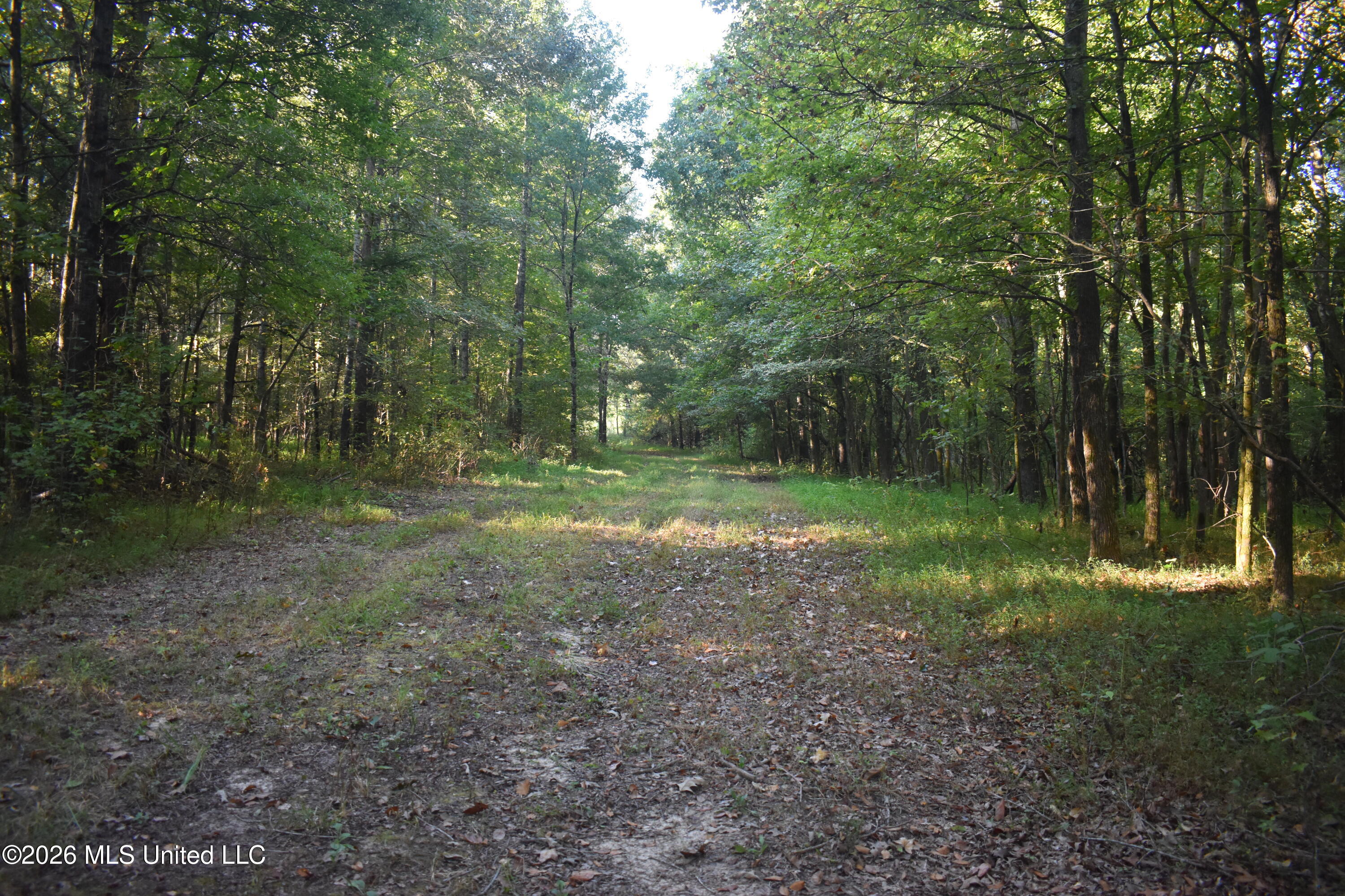 390 Old Panola Rd Property Photo 50