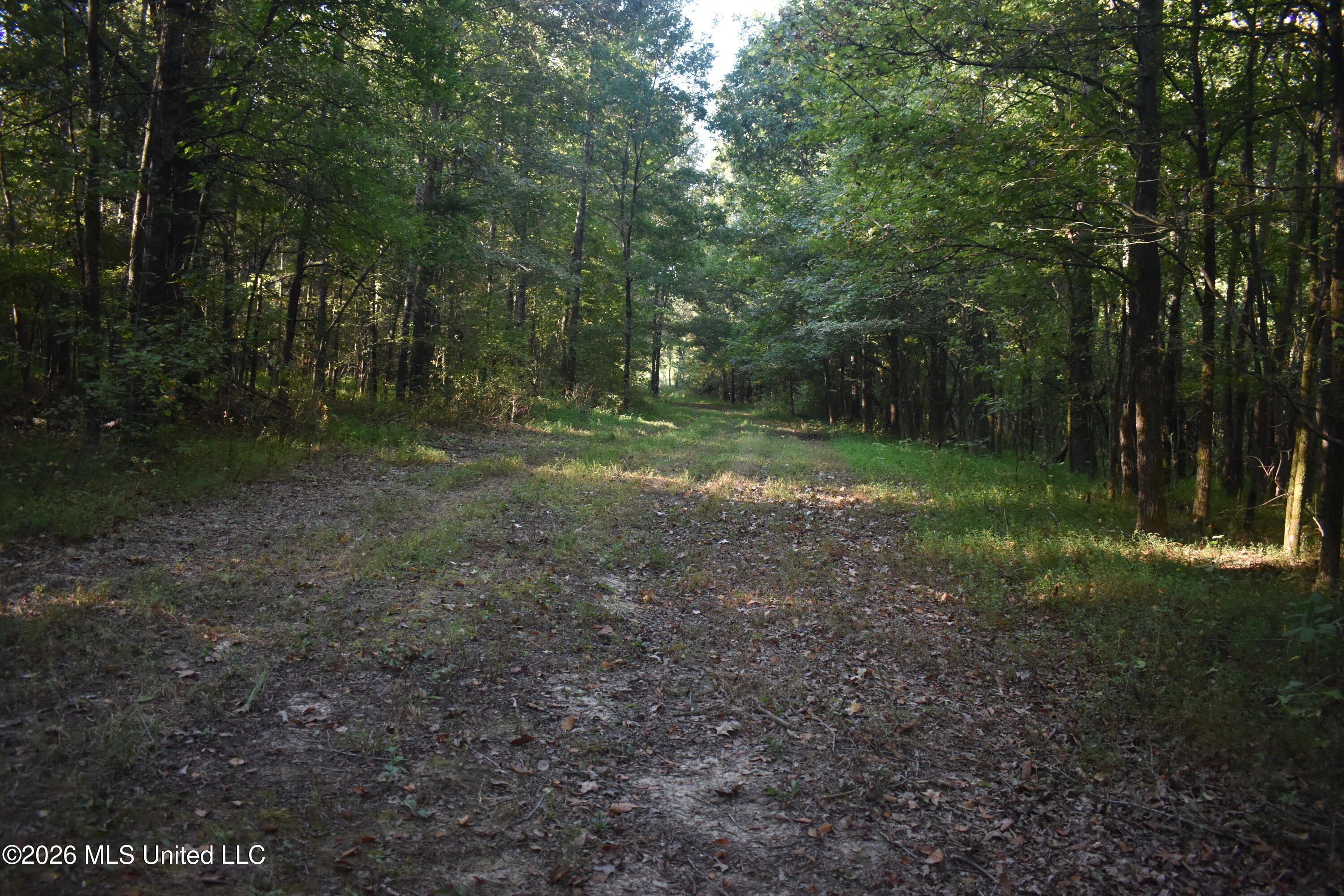 390 Old Panola Rd Property Photo 51