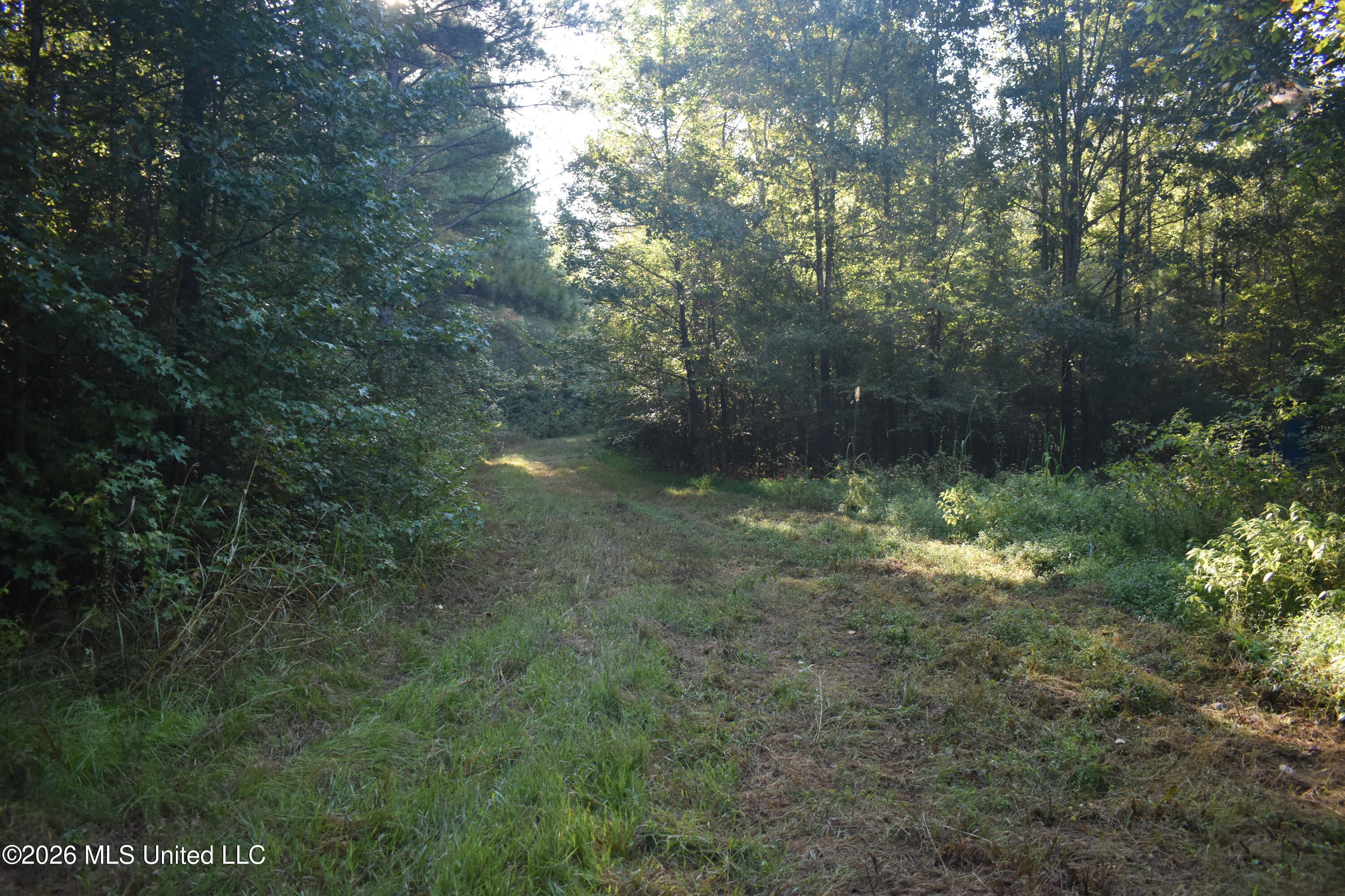 390 Old Panola Rd Property Photo 52