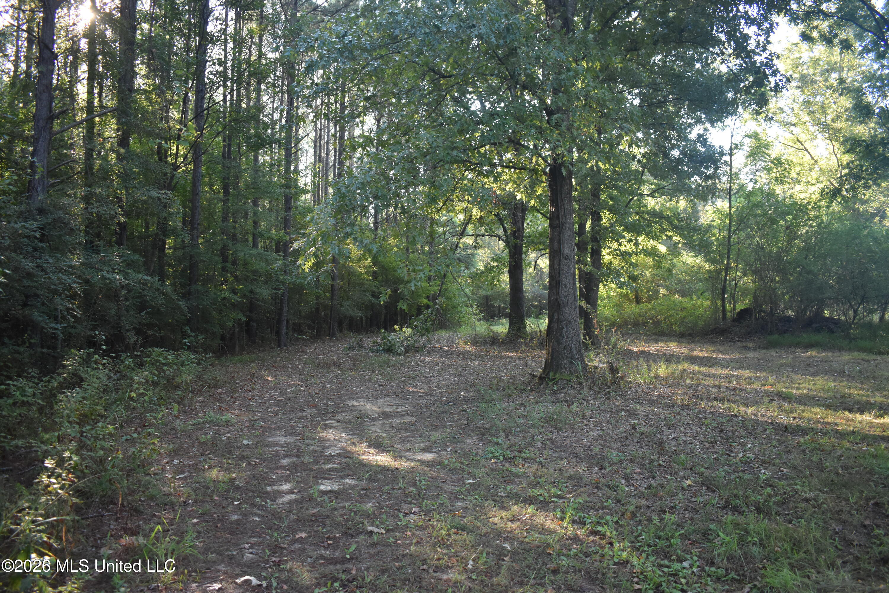 390 Old Panola Rd Property Photo 53