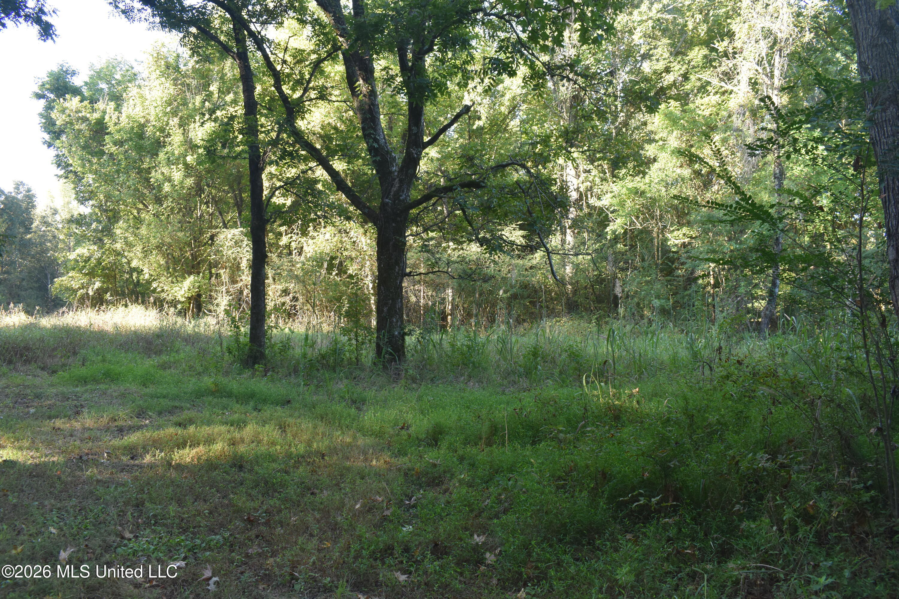 390 Old Panola Rd Property Photo 54