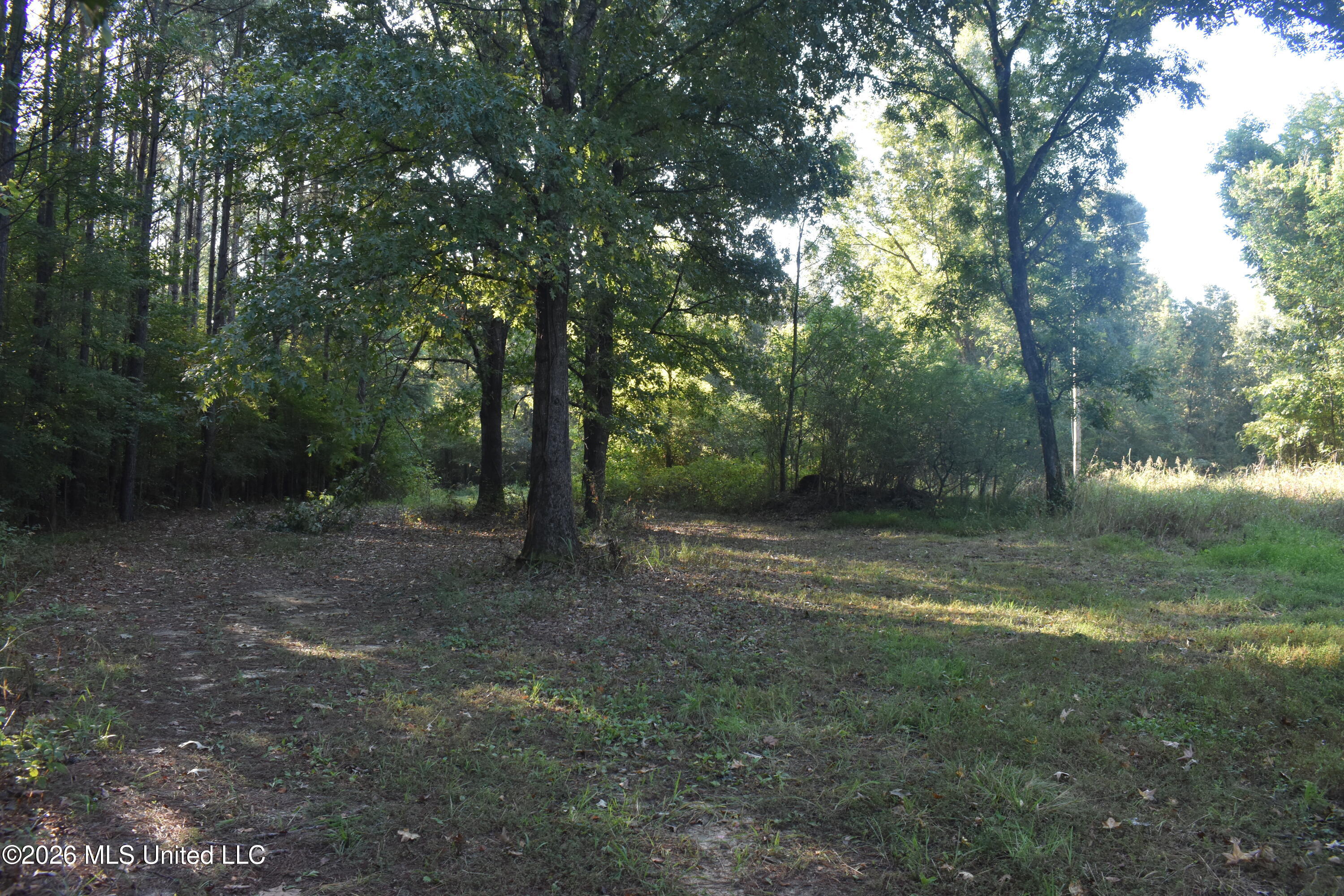 390 Old Panola Rd Property Photo 55