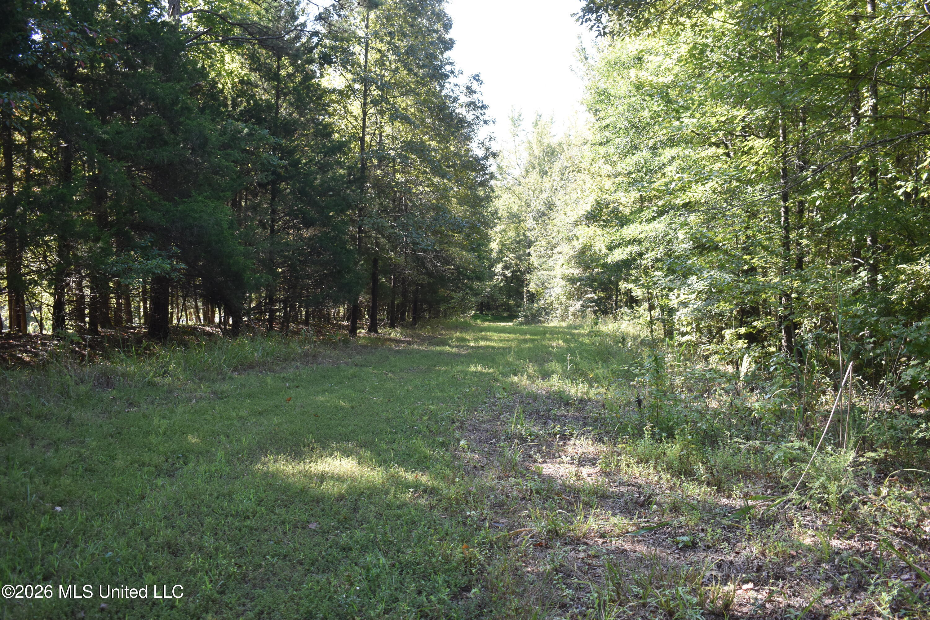 390 Old Panola Rd Property Photo 56