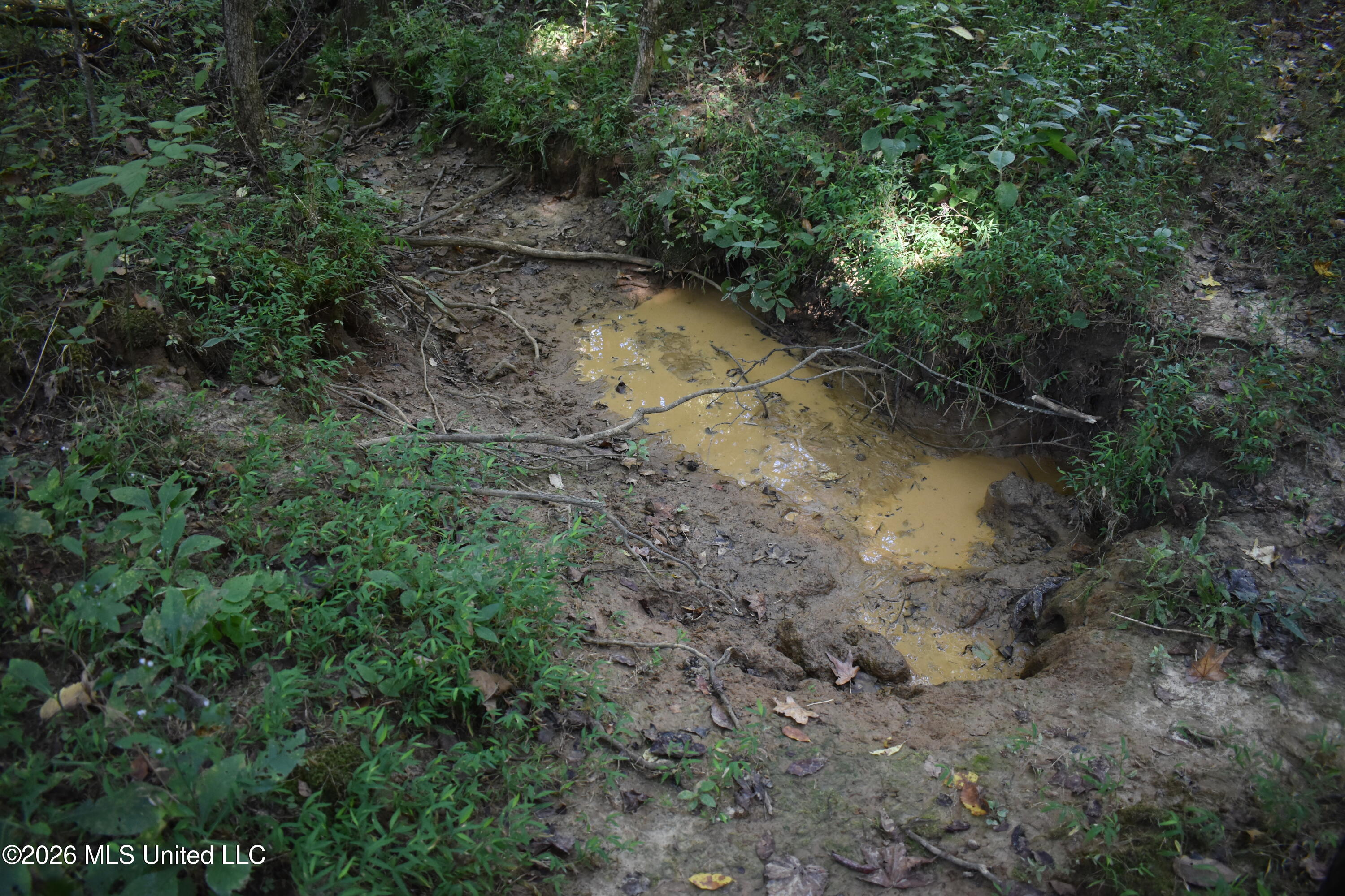 390 Old Panola Rd Property Photo 57