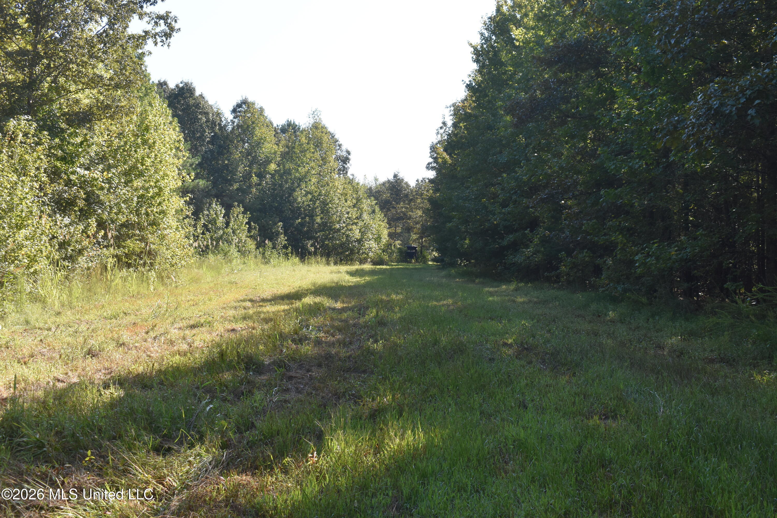 390 Old Panola Rd Property Photo 58