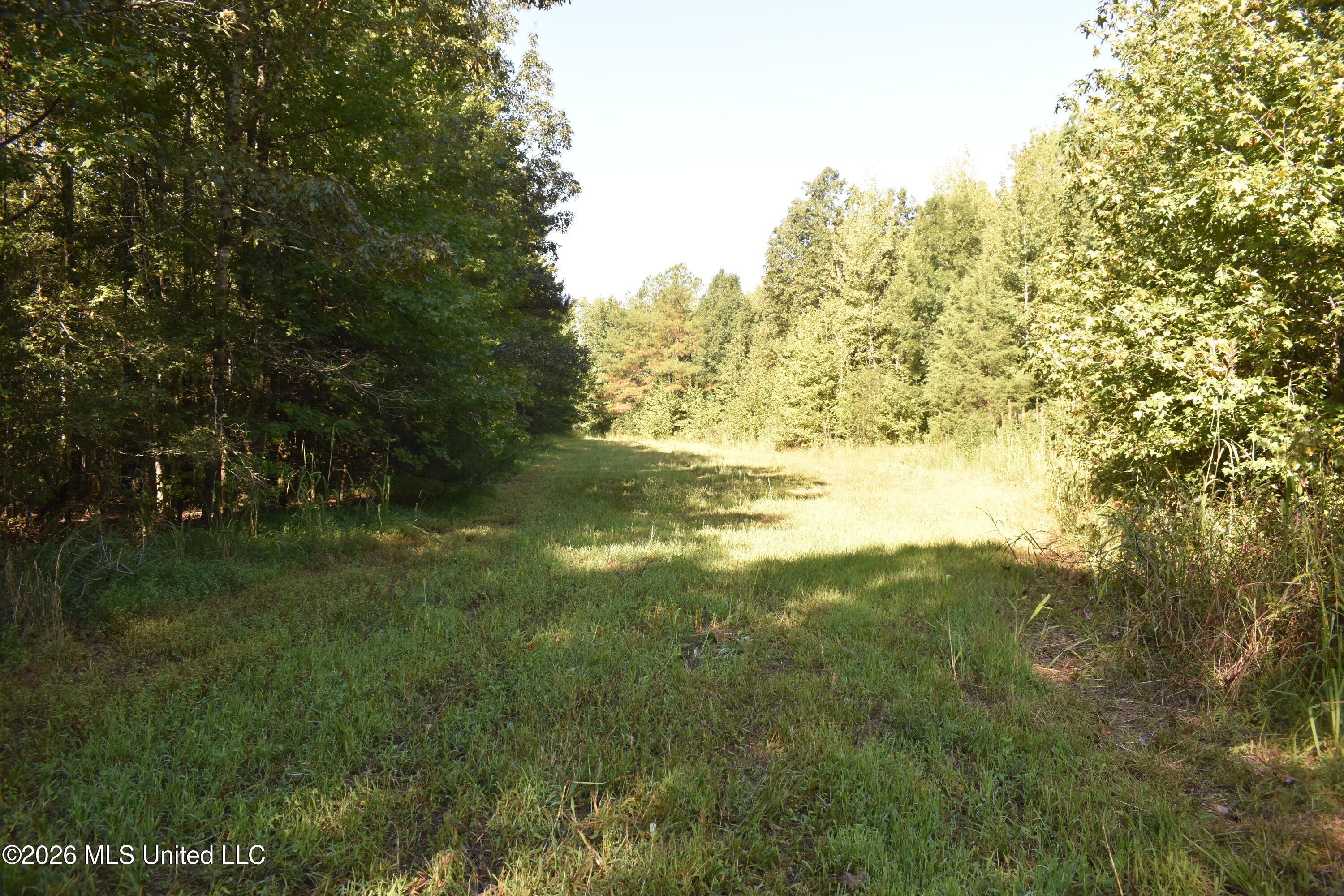 390 Old Panola Rd Property Photo 59
