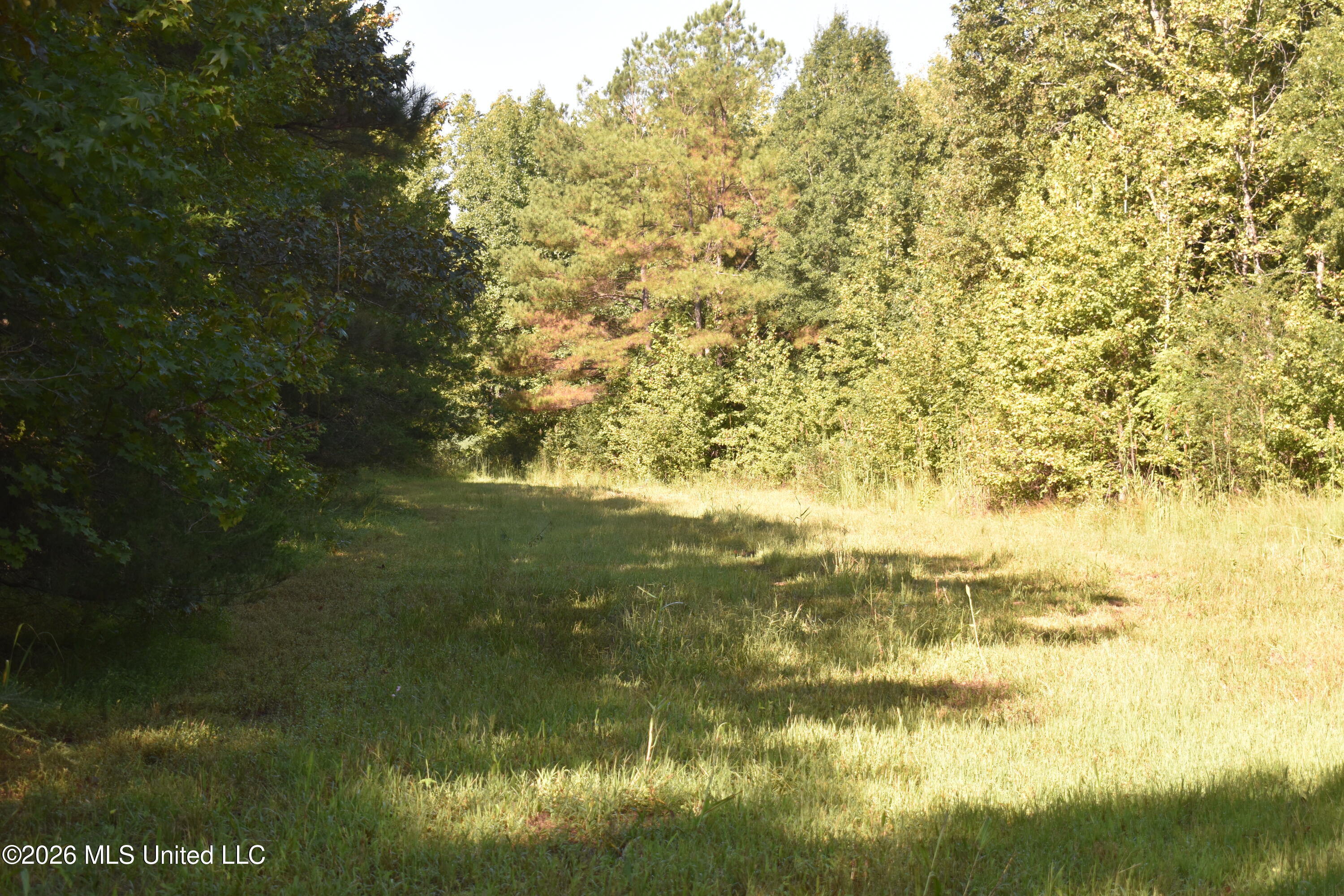 390 Old Panola Rd Property Photo 60