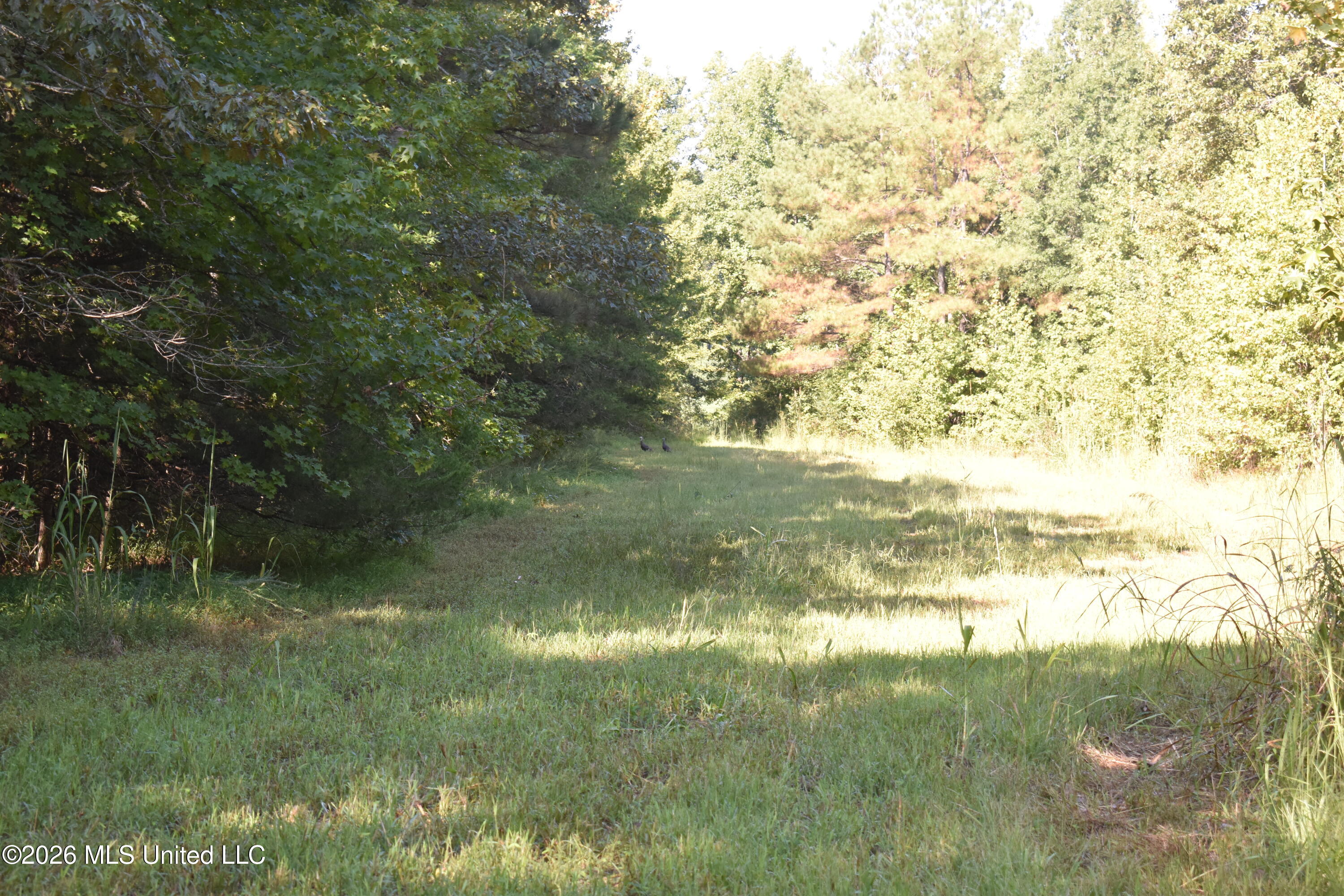 390 Old Panola Rd Property Photo 61