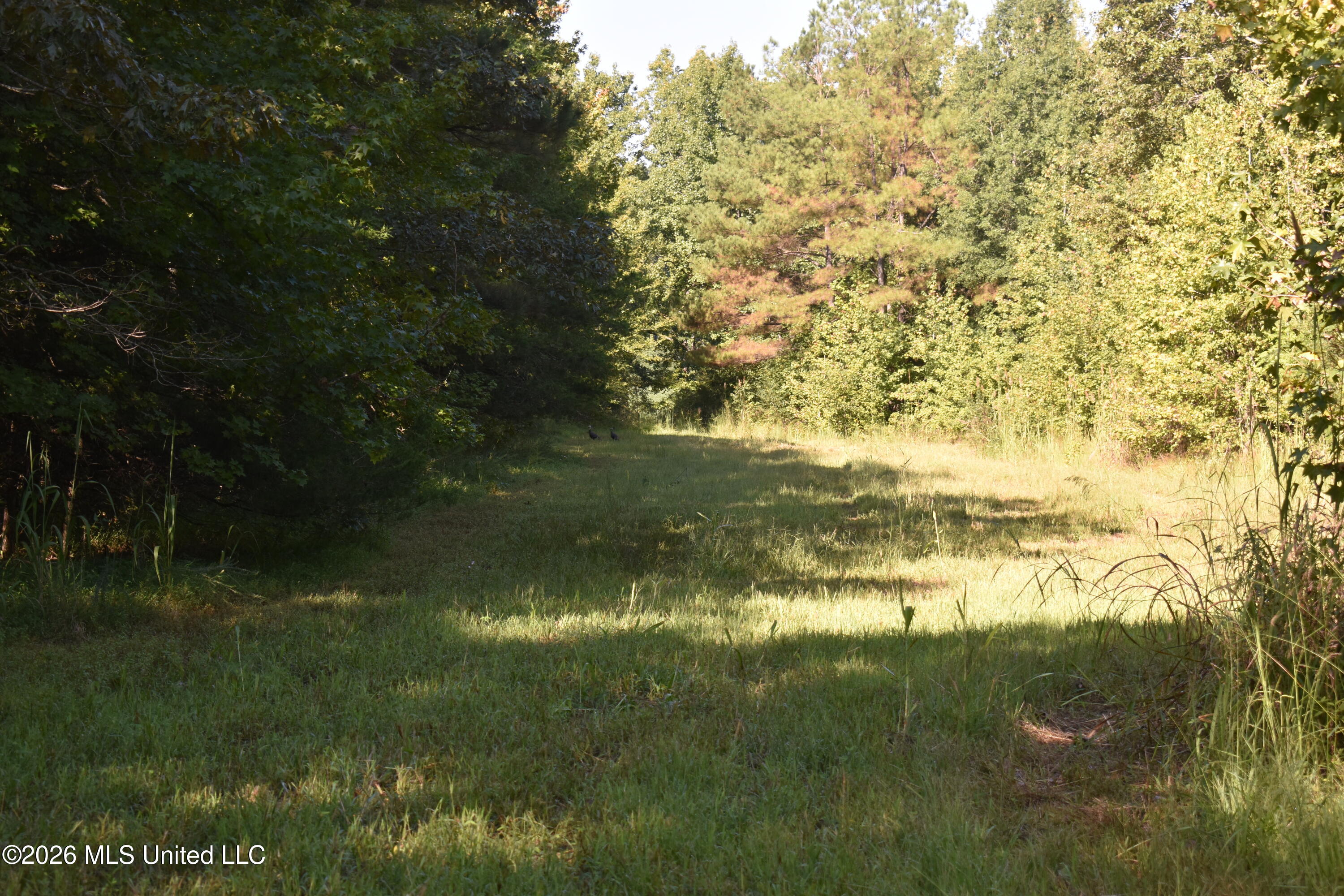 390 Old Panola Rd Property Photo 62