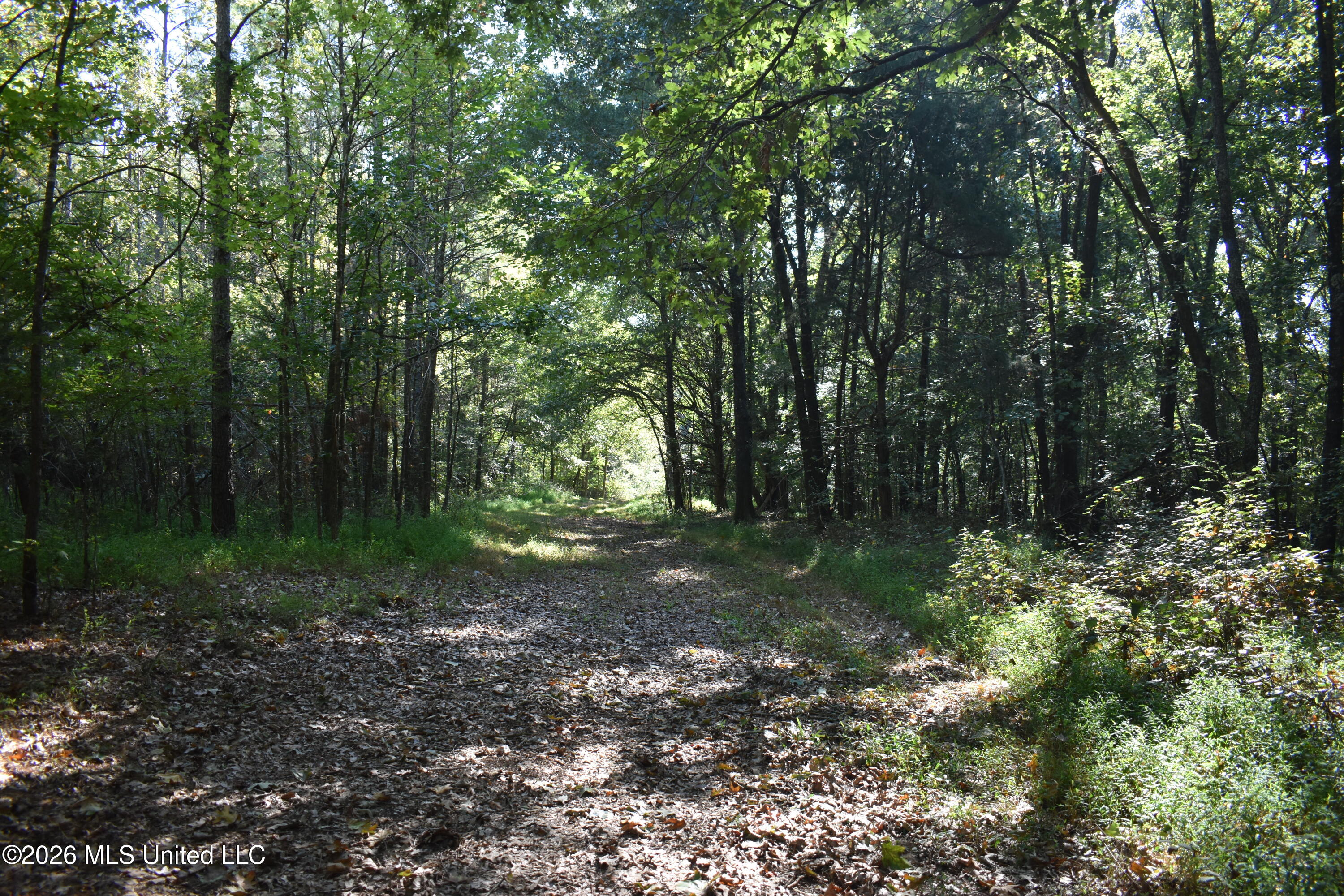 390 Old Panola Rd Property Photo 64