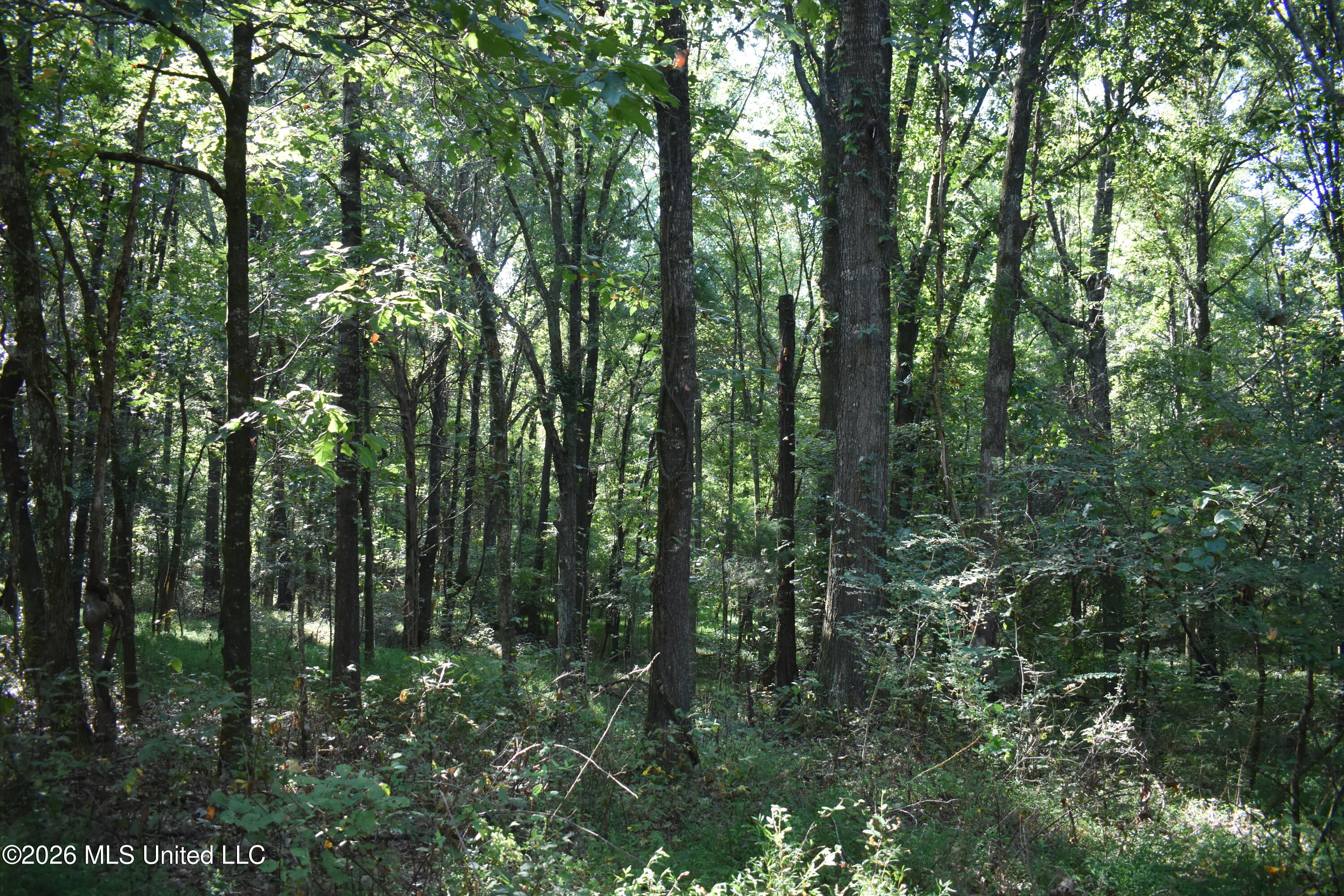 390 Old Panola Rd Property Photo 65