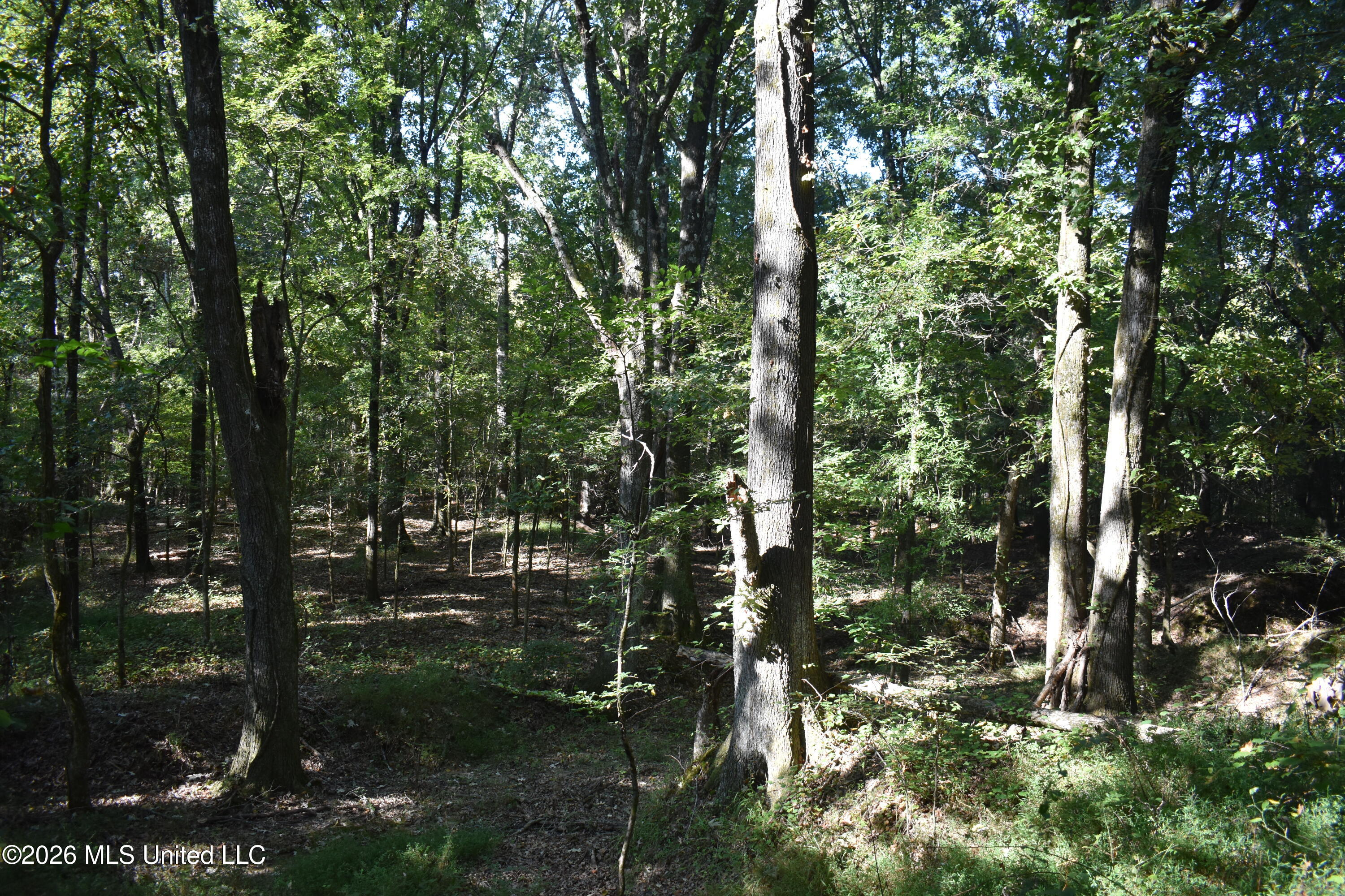 390 Old Panola Rd Property Photo 66