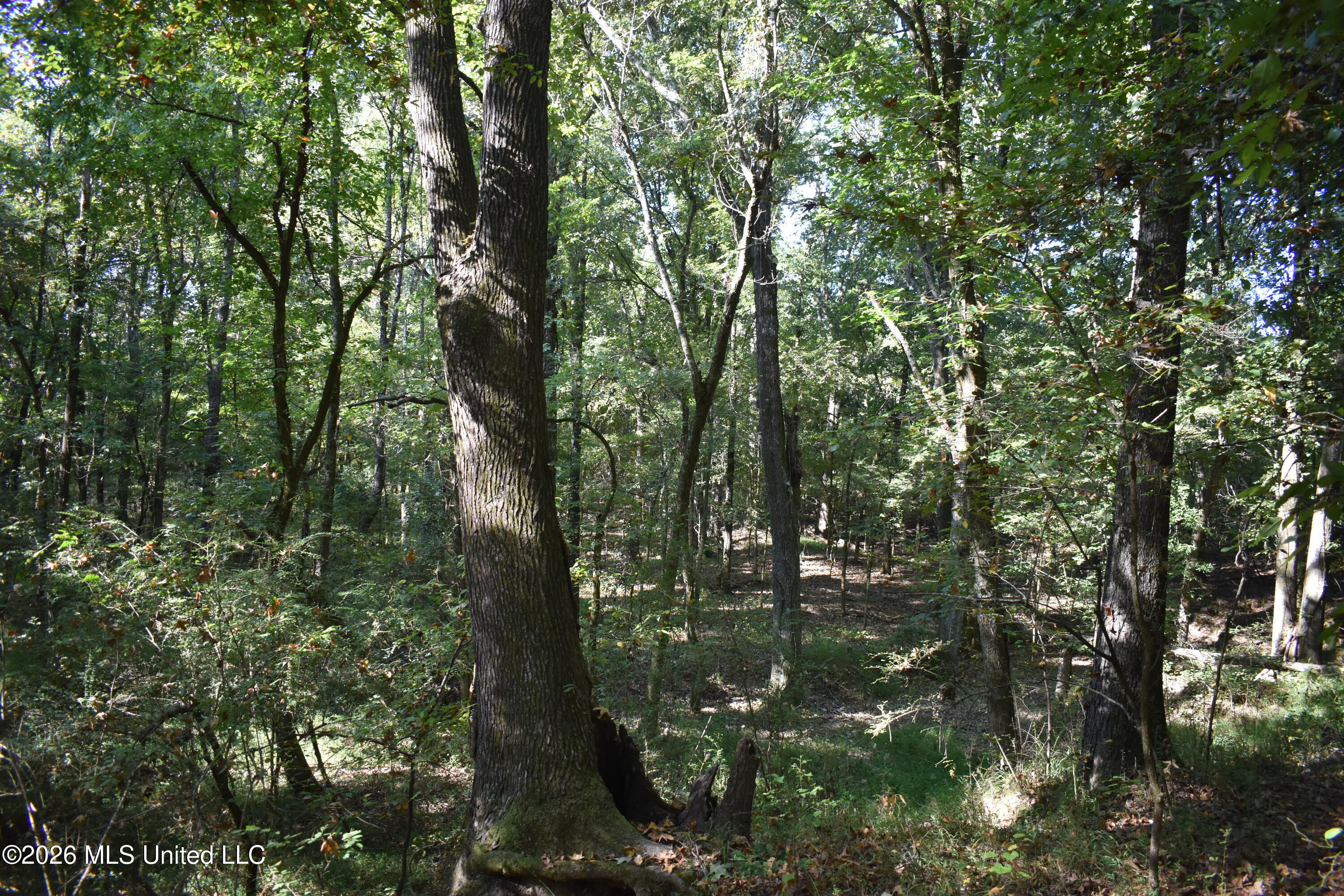 390 Old Panola Rd Property Photo 67