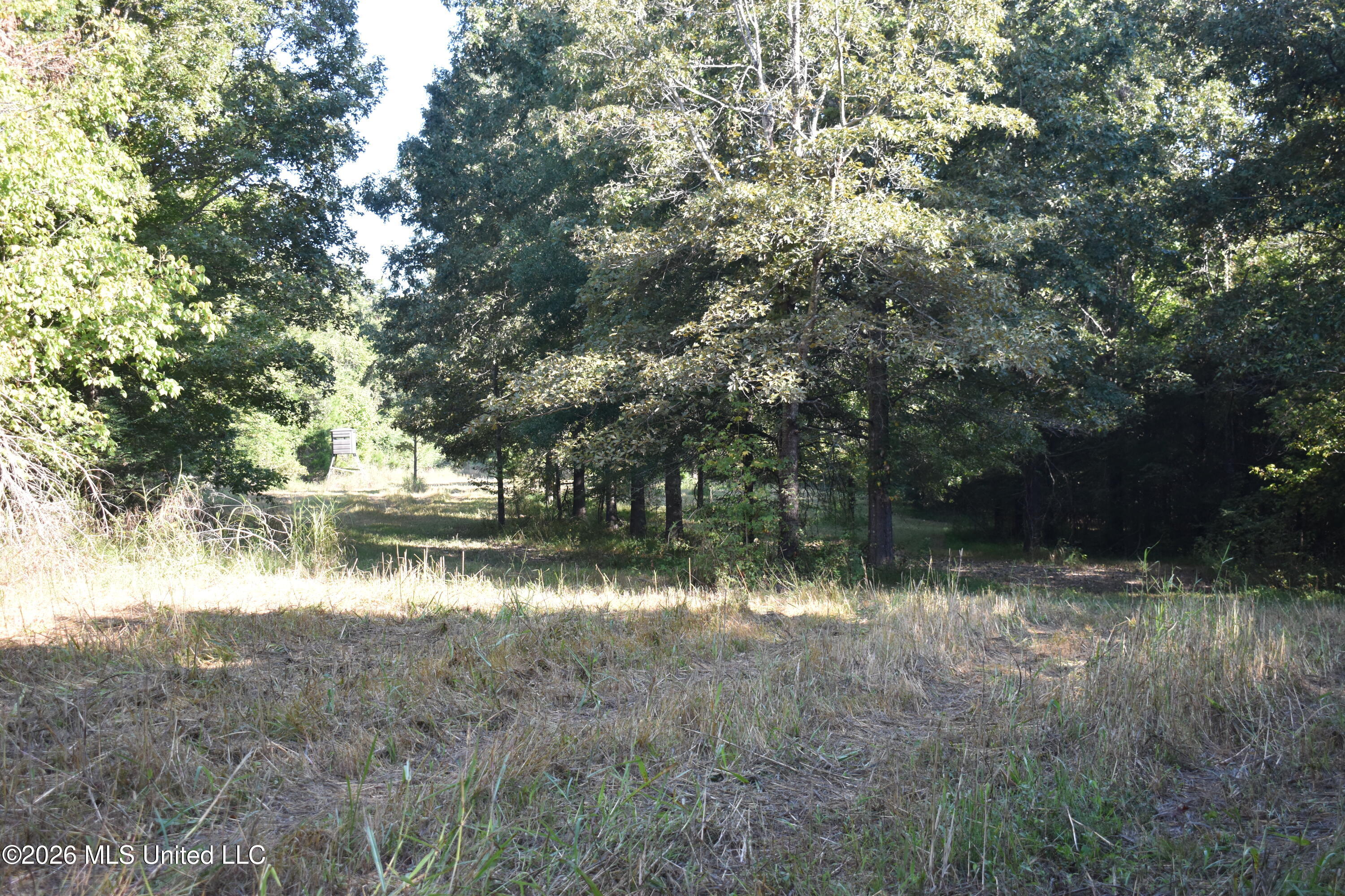 390 Old Panola Rd Property Photo 69