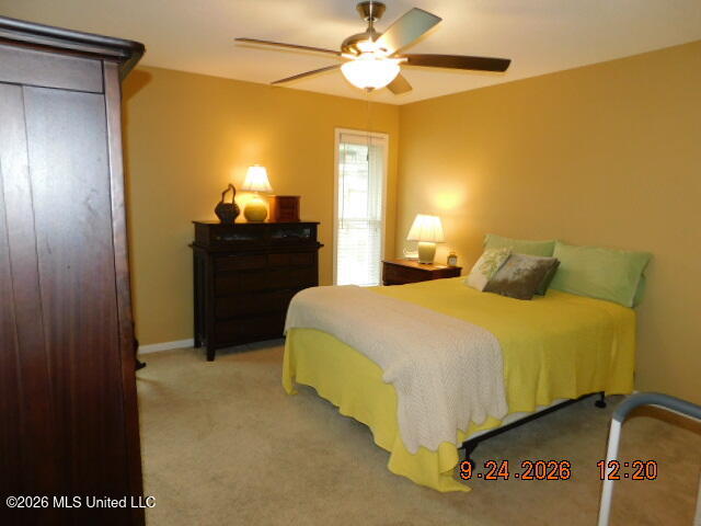 7342 Holly Grove Drive Property Photo 8