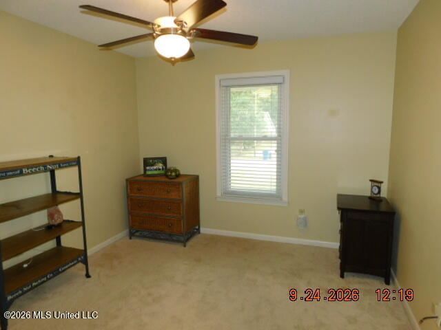 7342 Holly Grove Drive Property Photo 11