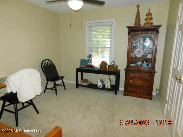 7342 Holly Grove Drive Property Photo 12