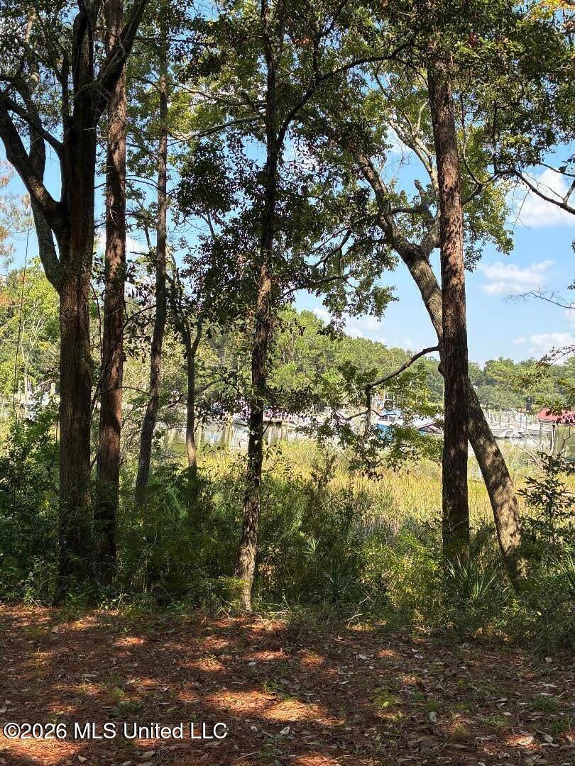 105 Shearwater Drive Property Photo 2