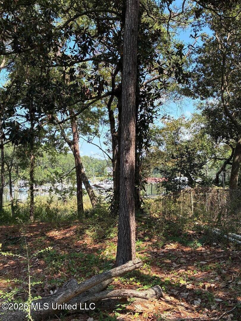 105 Shearwater Drive Property Photo 3