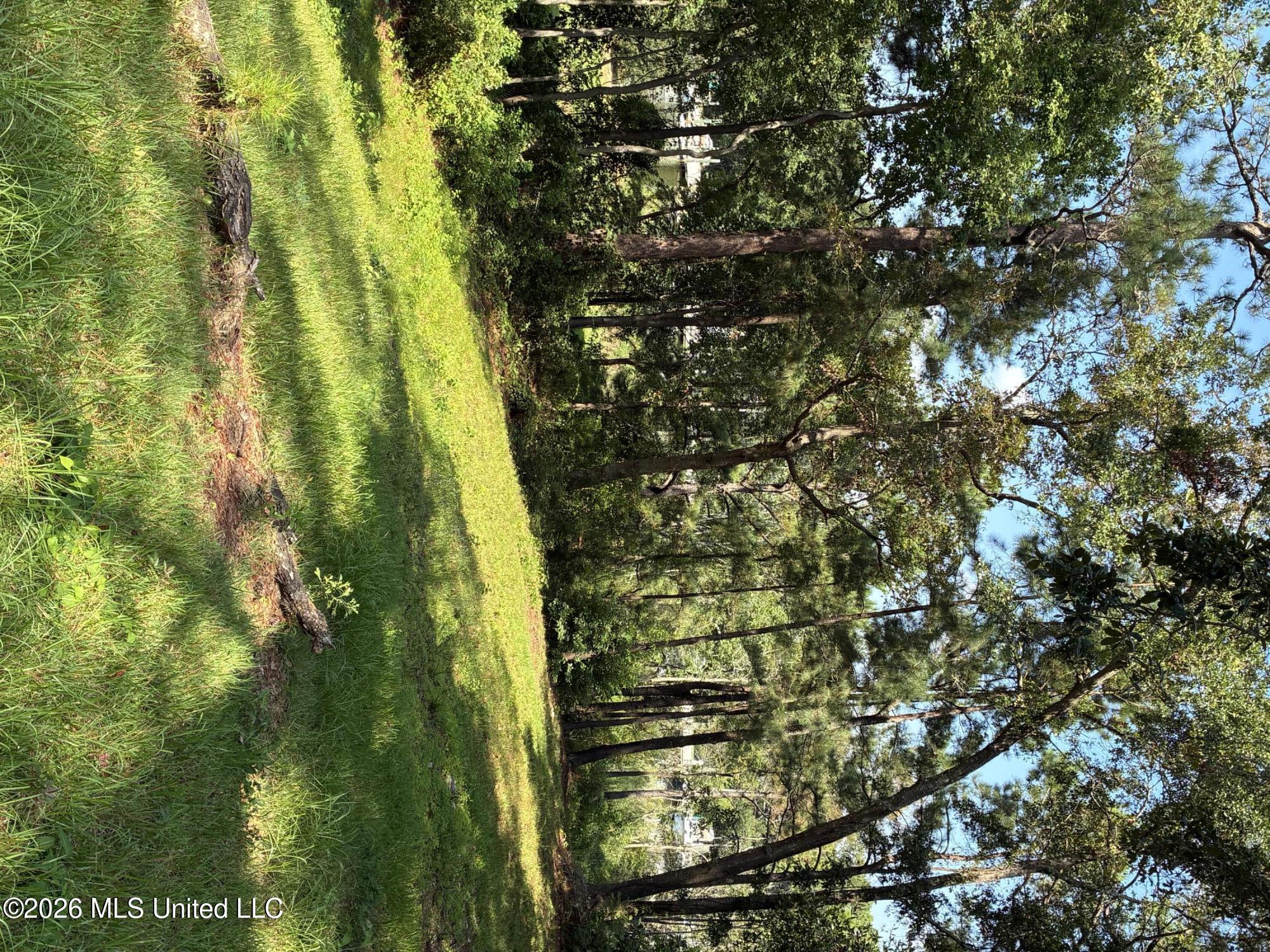 105 Shearwater Drive Property Photo 4