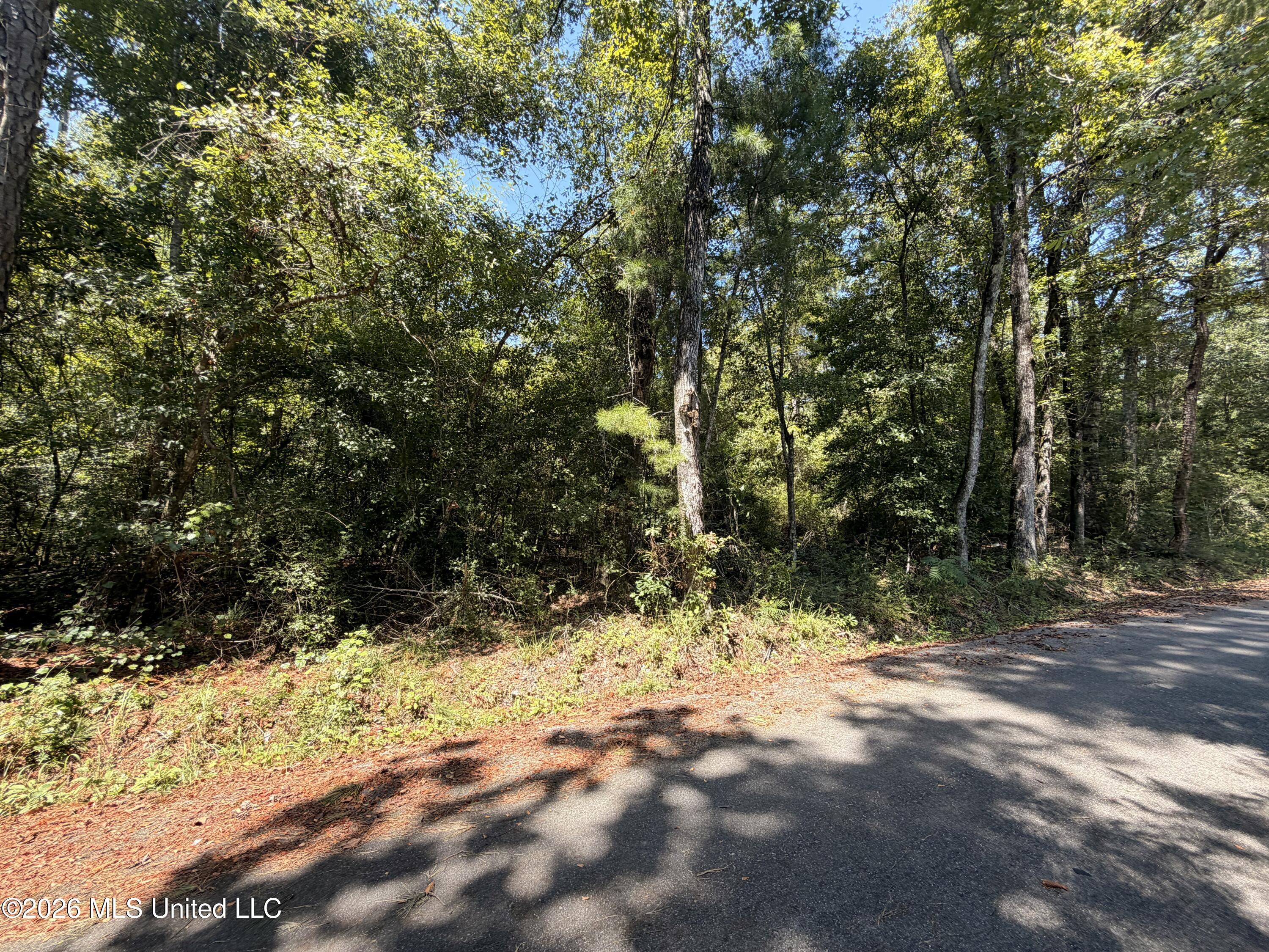 Bobwhite Lane Property Photo 1