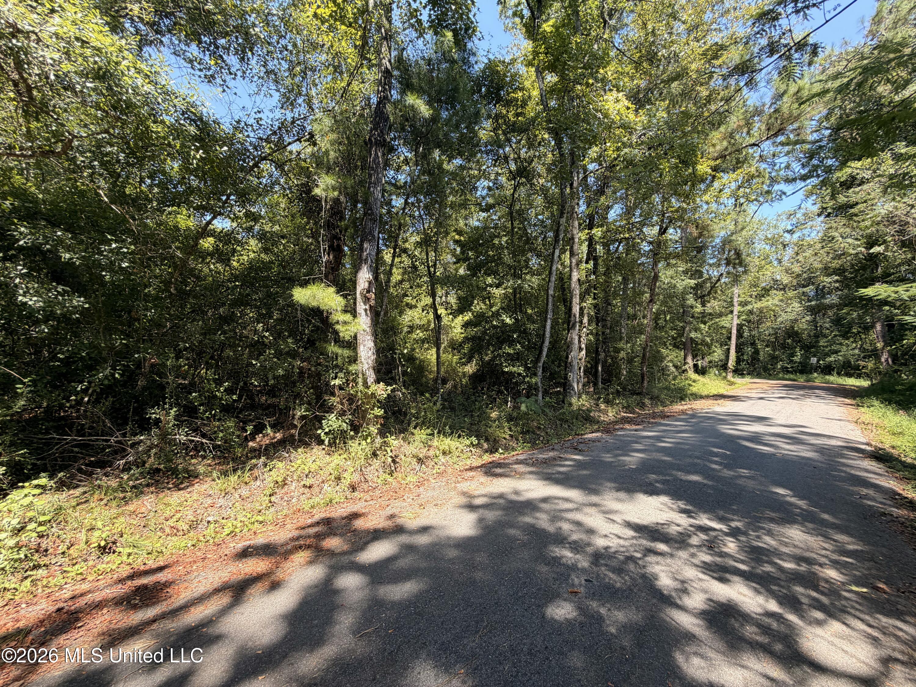 Bobwhite Lane Property Photo 2