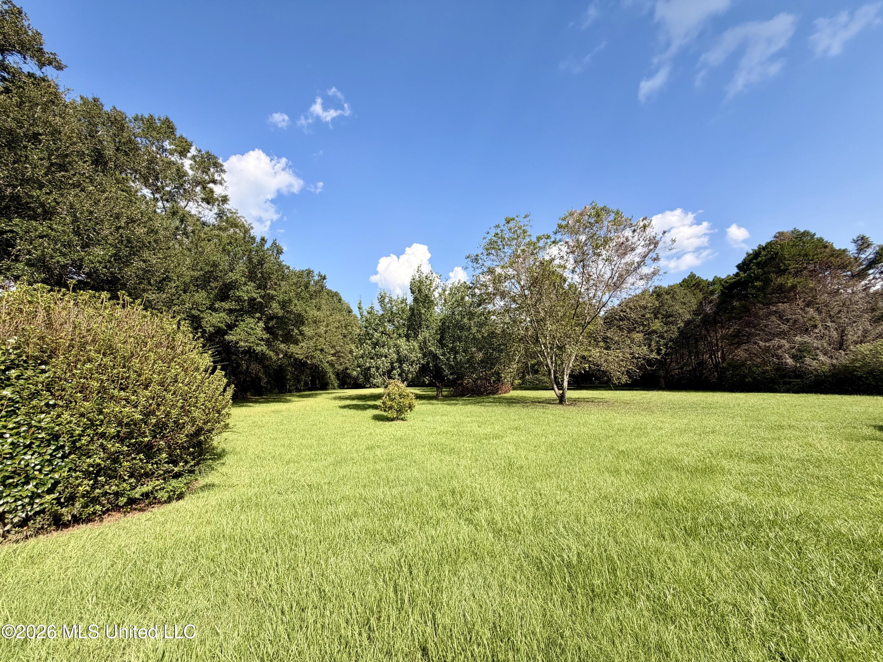 39 Oak Allee Drive Property Photo 44