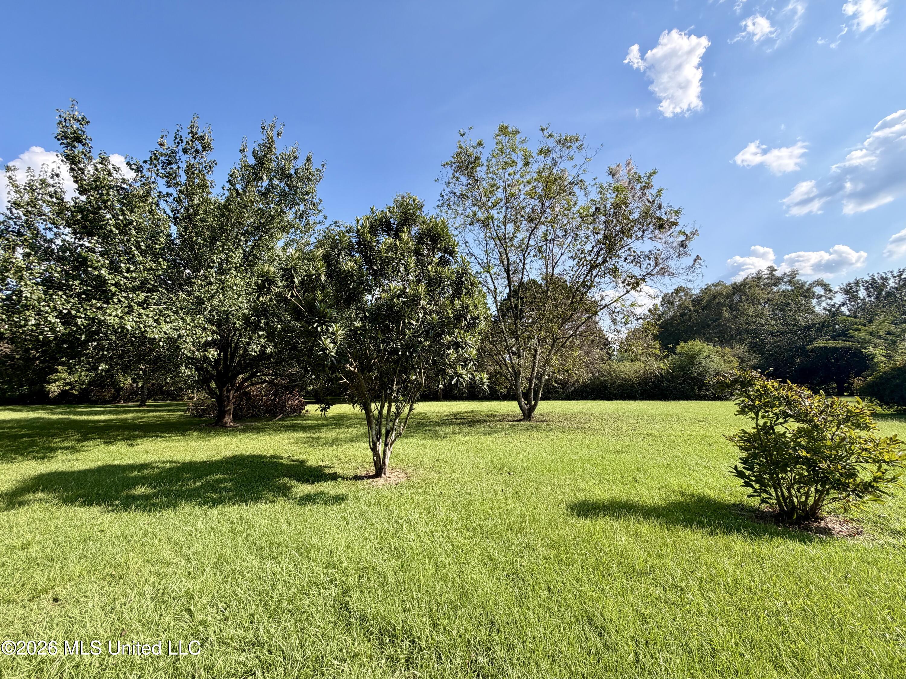 39 Oak Allee Drive Property Photo 45