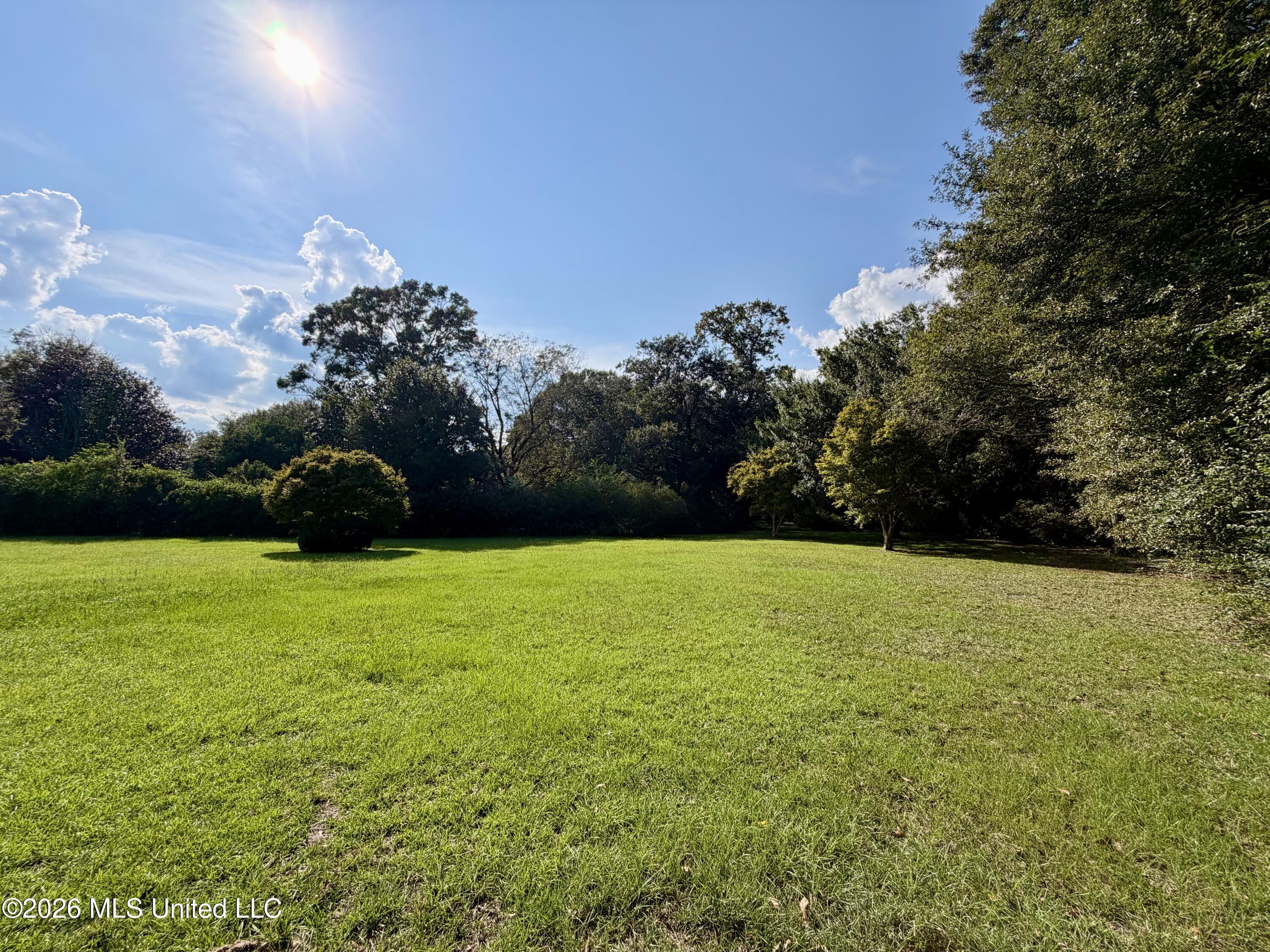 39 Oak Allee Drive Property Photo 46