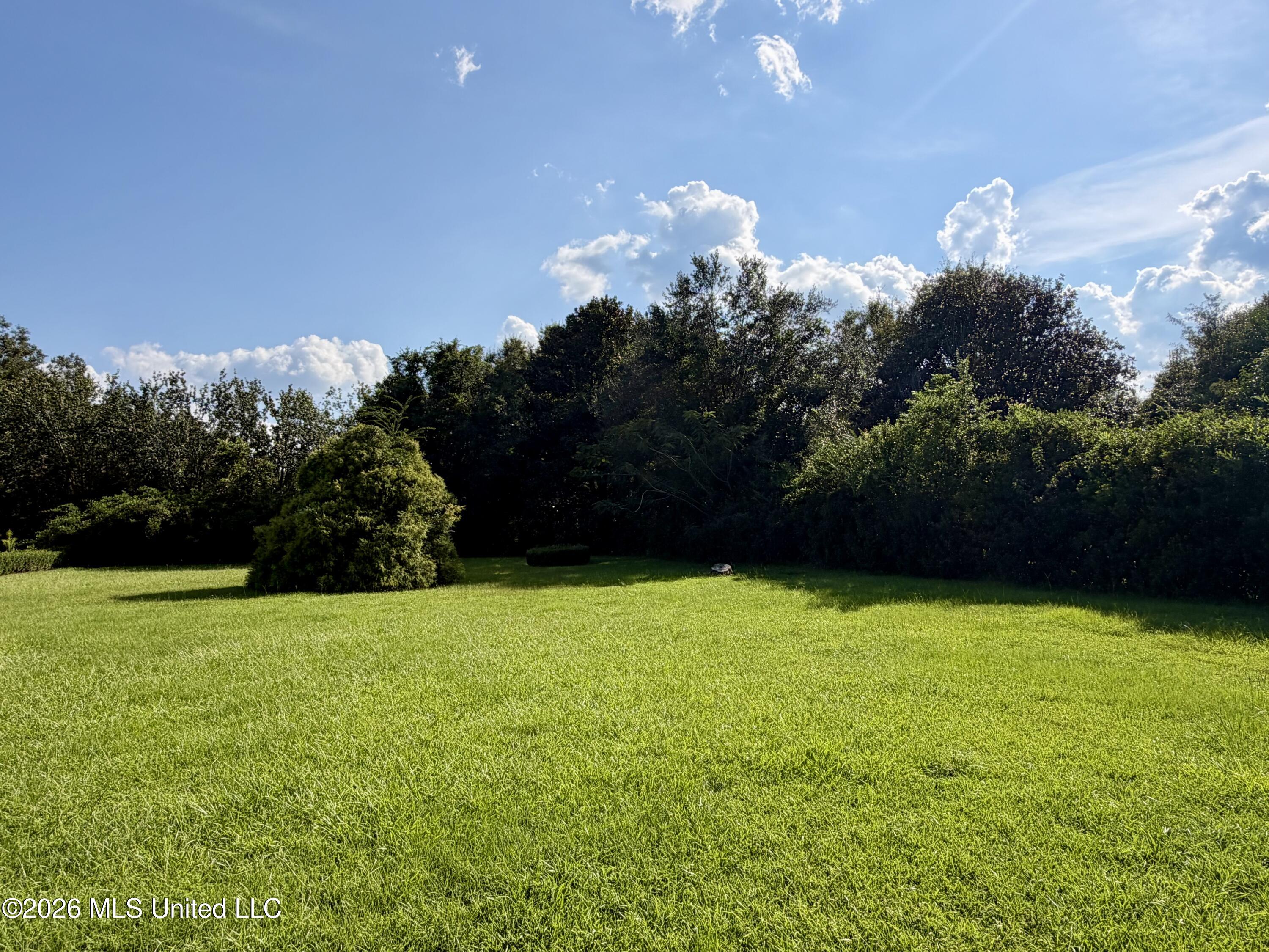 39 Oak Allee Drive Property Photo 47