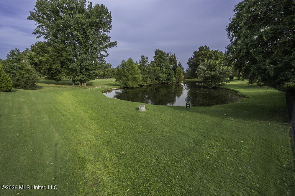 9423 S Laurel Hill Property Photo 45