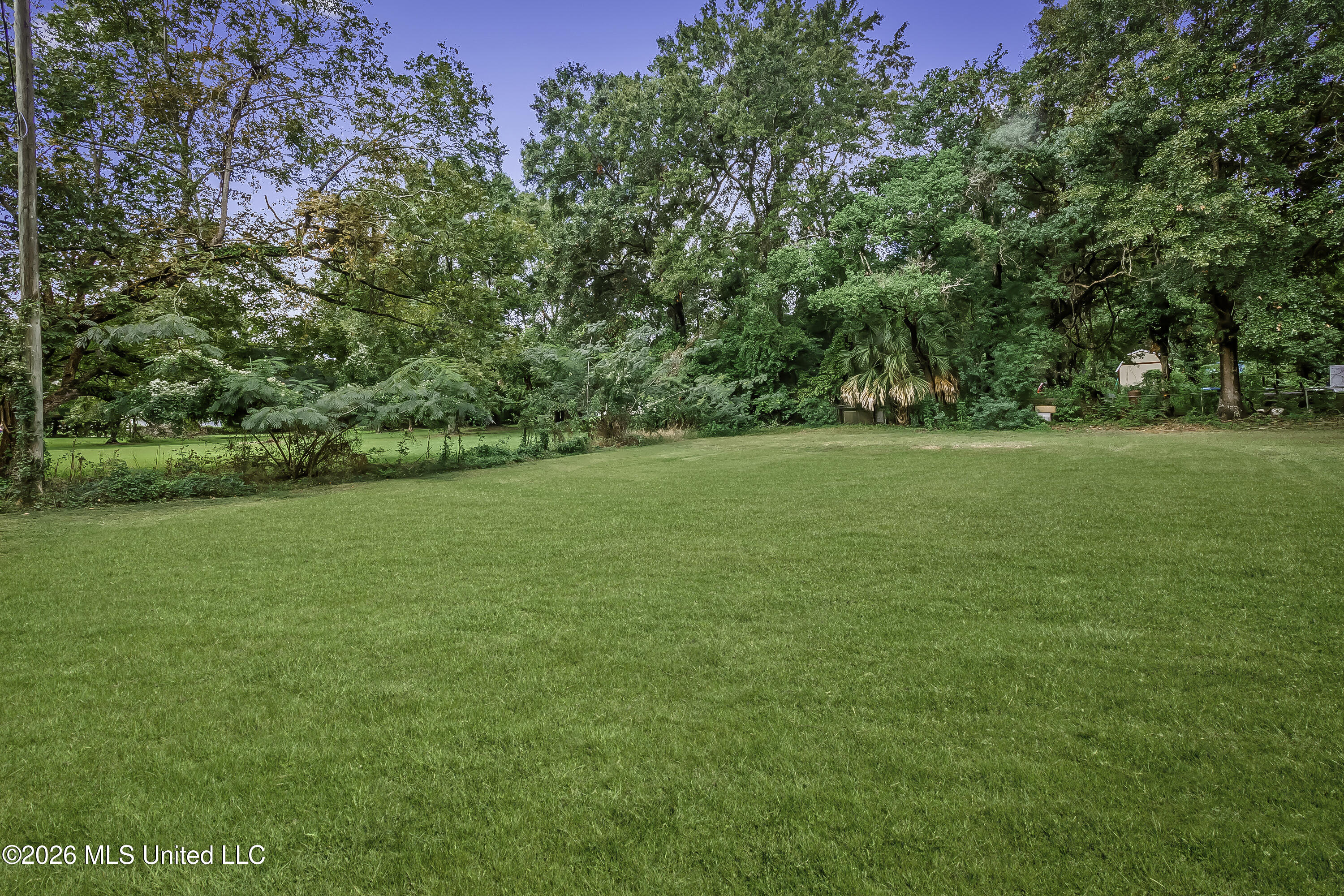 3624 Marion Place Property Photo 34