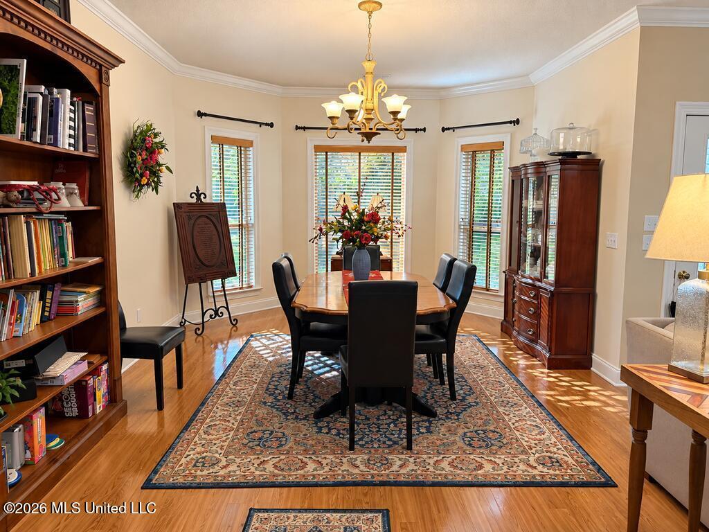 16 Timber Creek Drive Property Photo 7