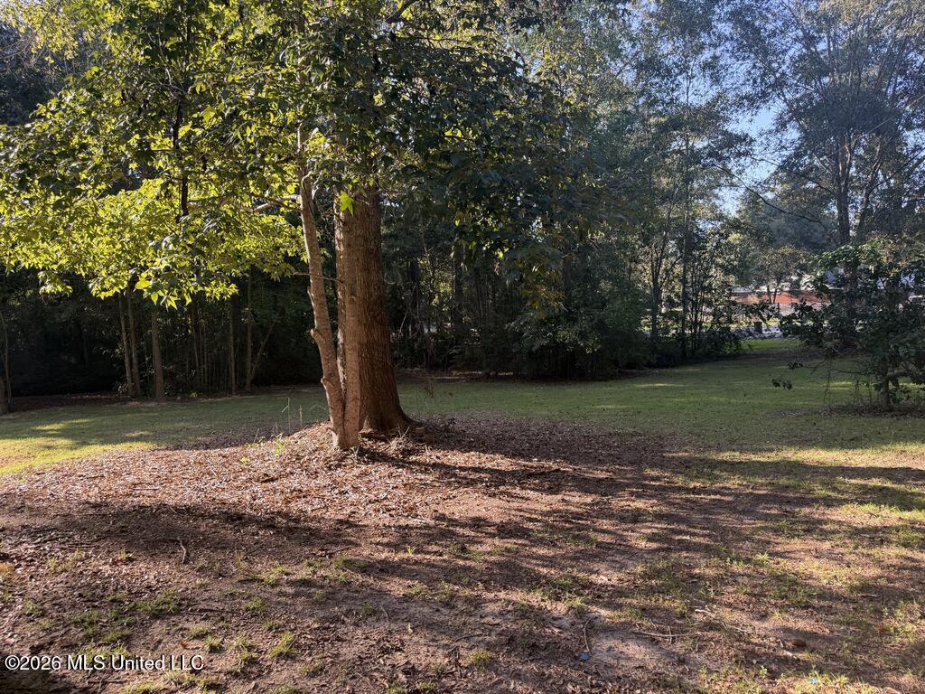 16 Timber Creek Drive Property Photo 22