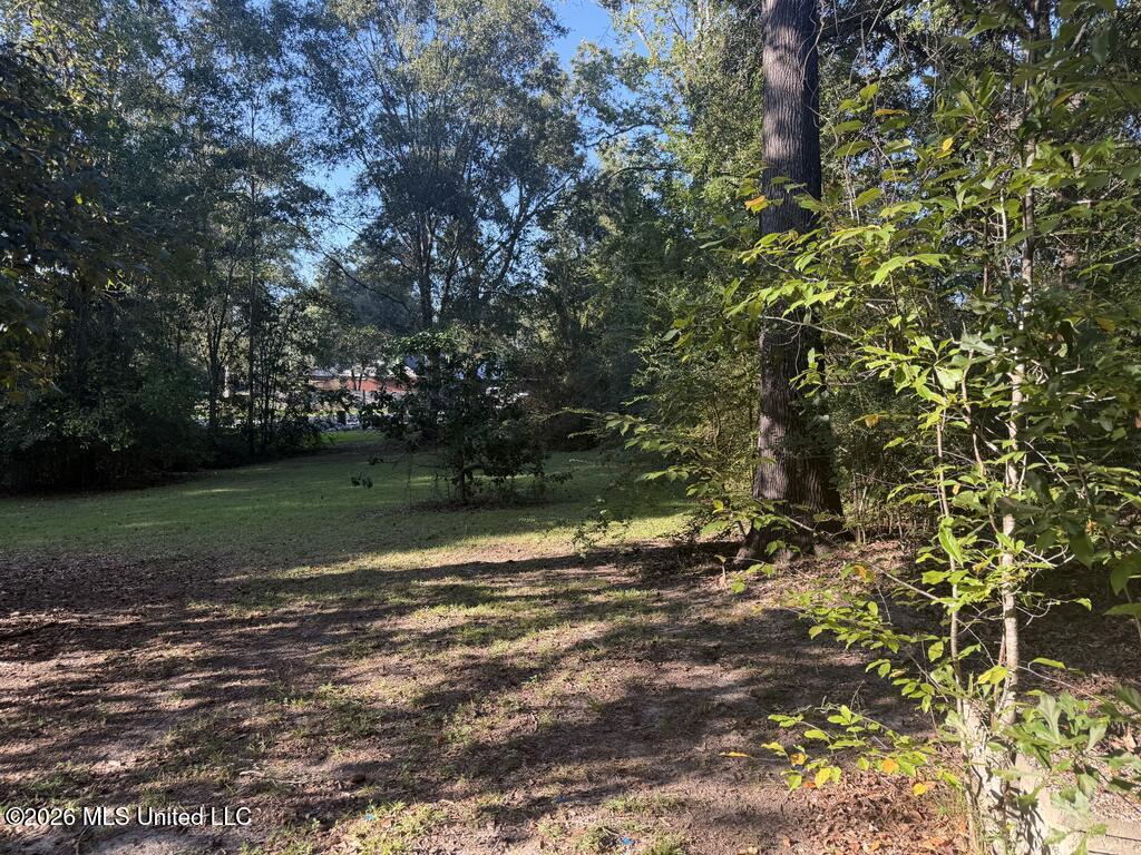 16 Timber Creek Drive Property Photo 23