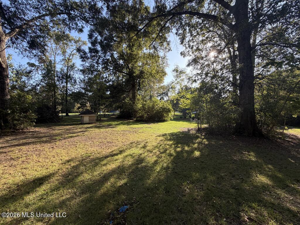 16 Timber Creek Drive Property Photo 24