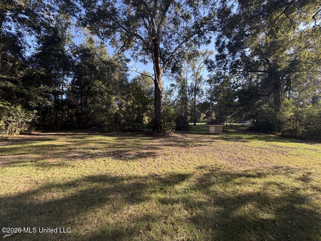 16 Timber Creek Drive Property Photo 25