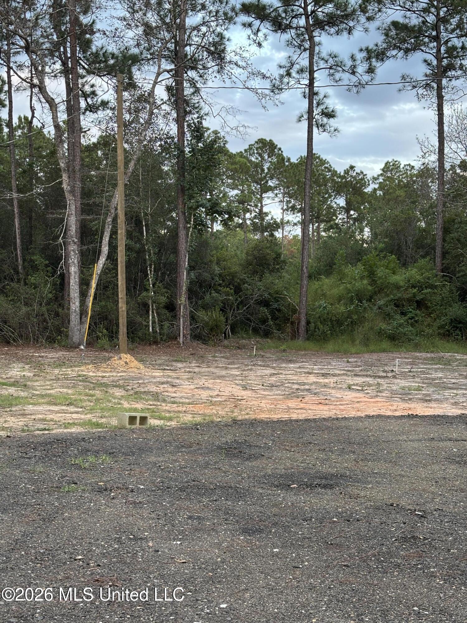 10604 Johns Bayou Road Property Photo 7