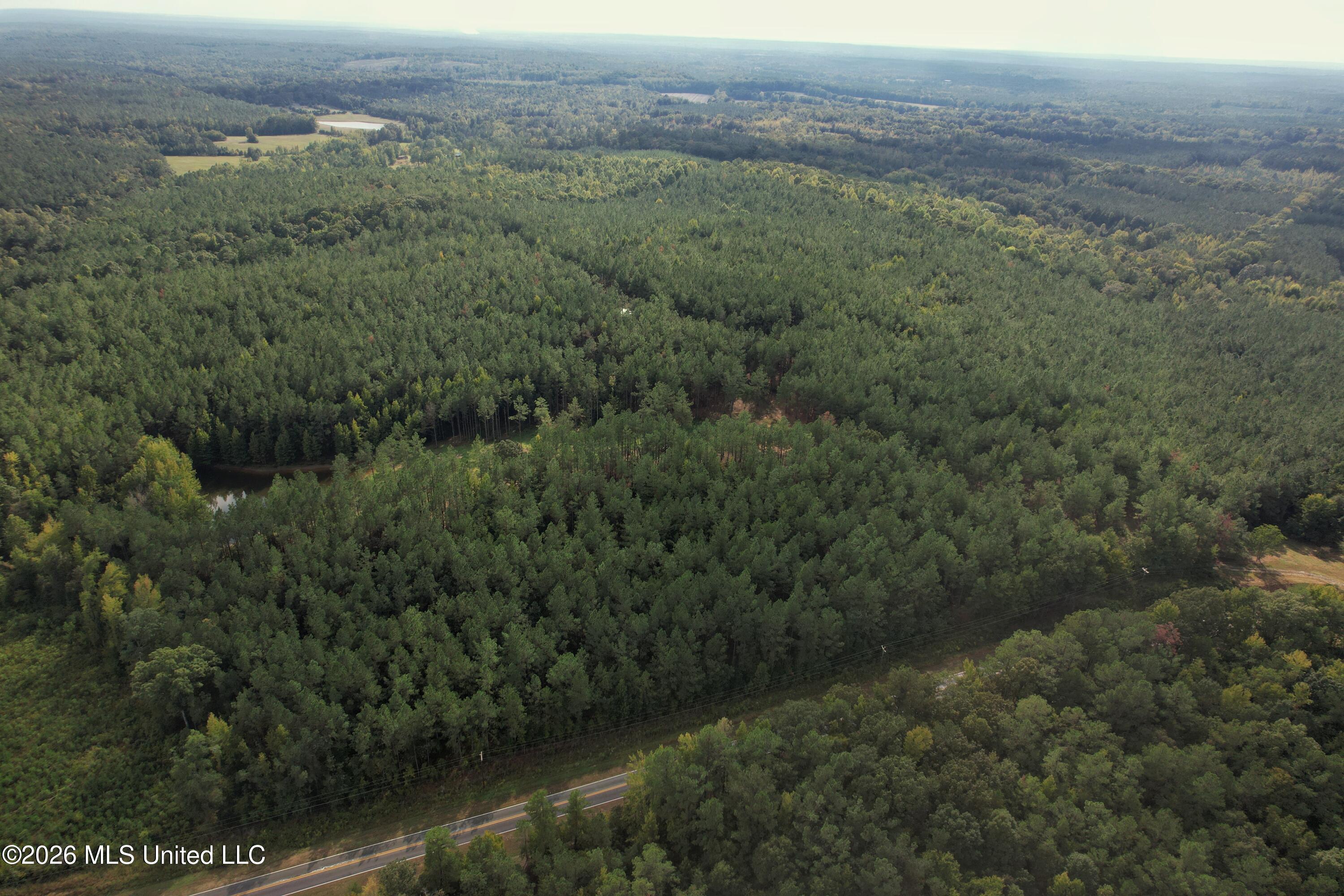 5529 Mlking Junior Drive Property Photo 1