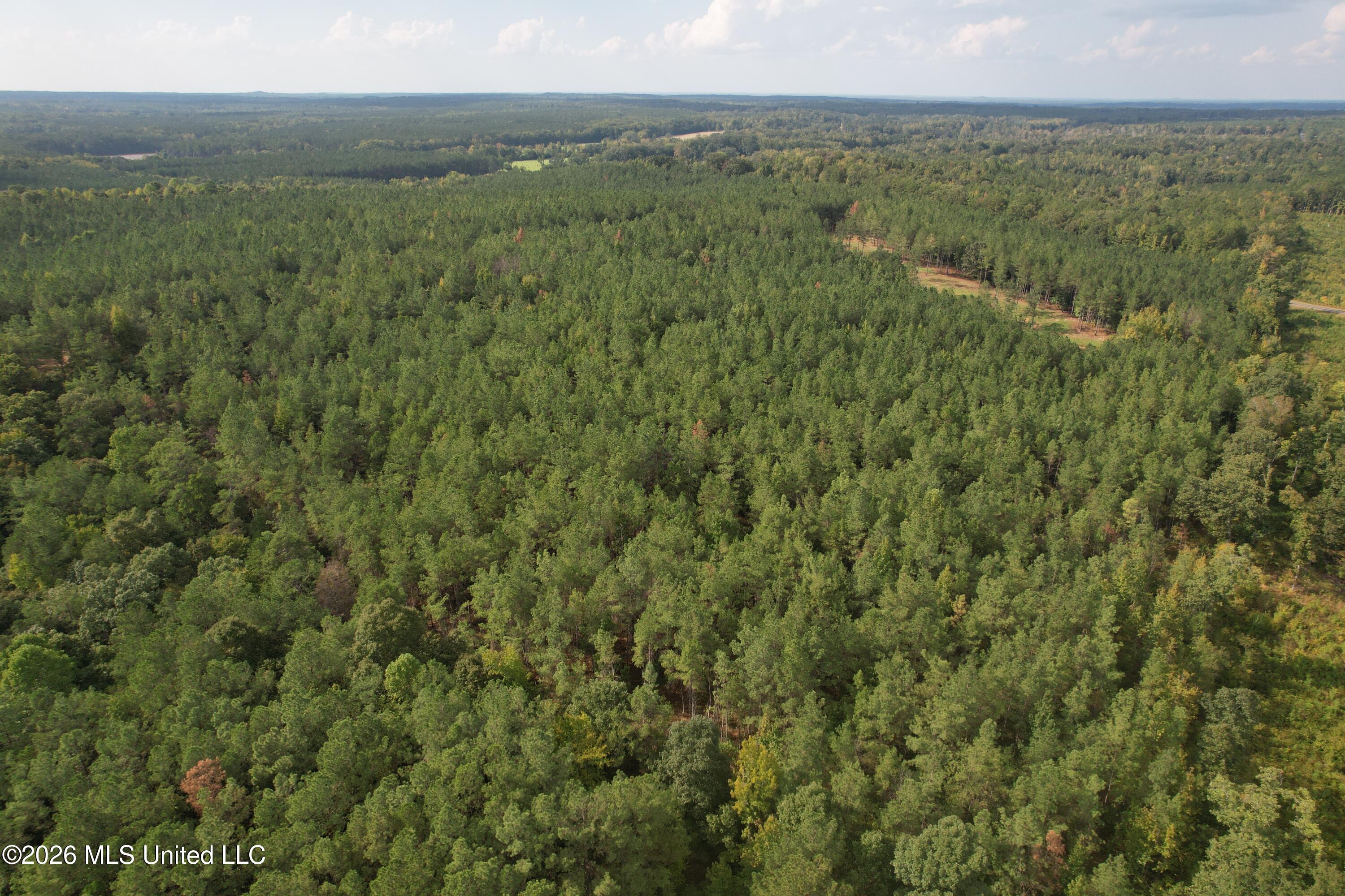 5529 Mlking Junior Drive Property Photo 2
