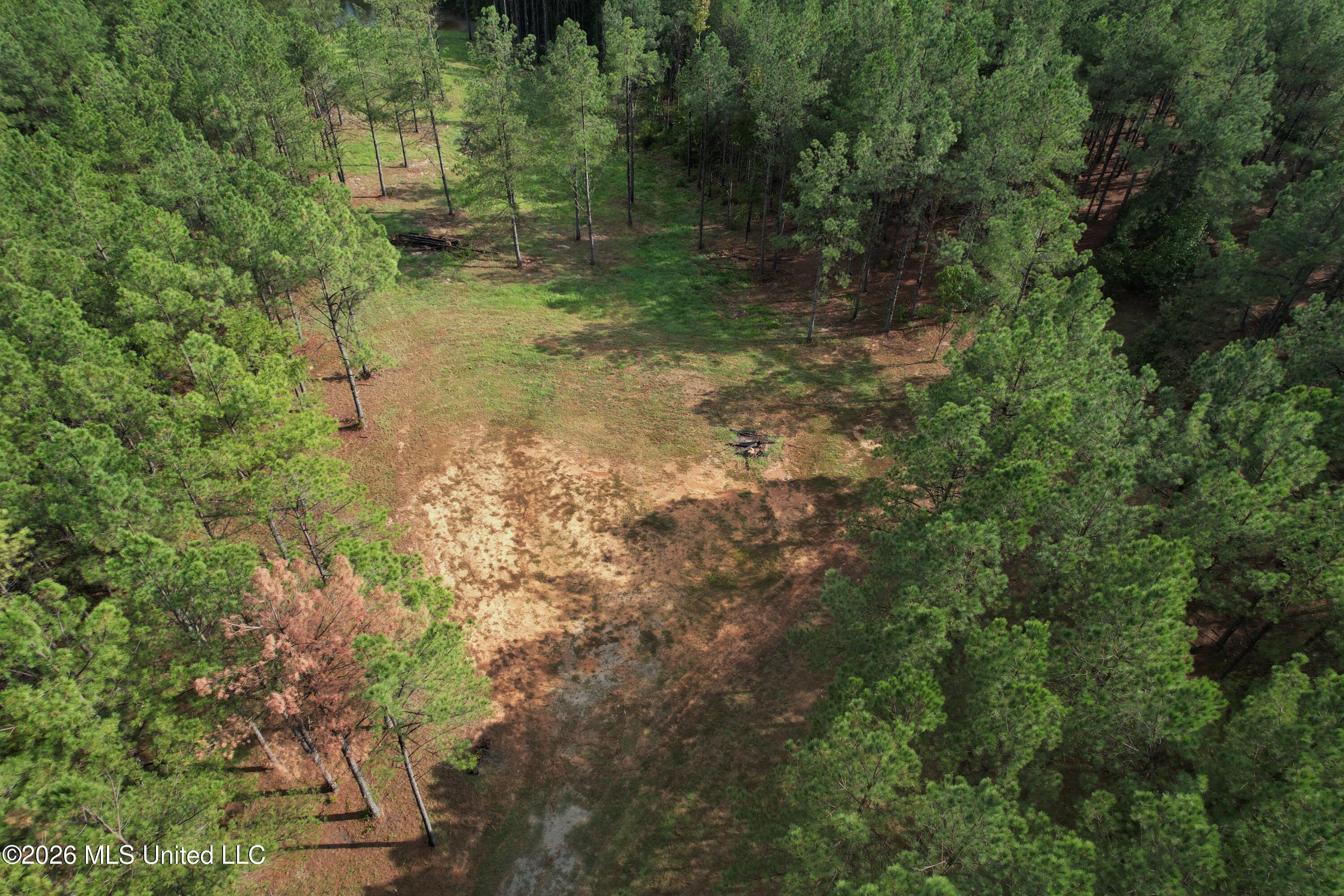 5529 Mlking Junior Drive Property Photo 4