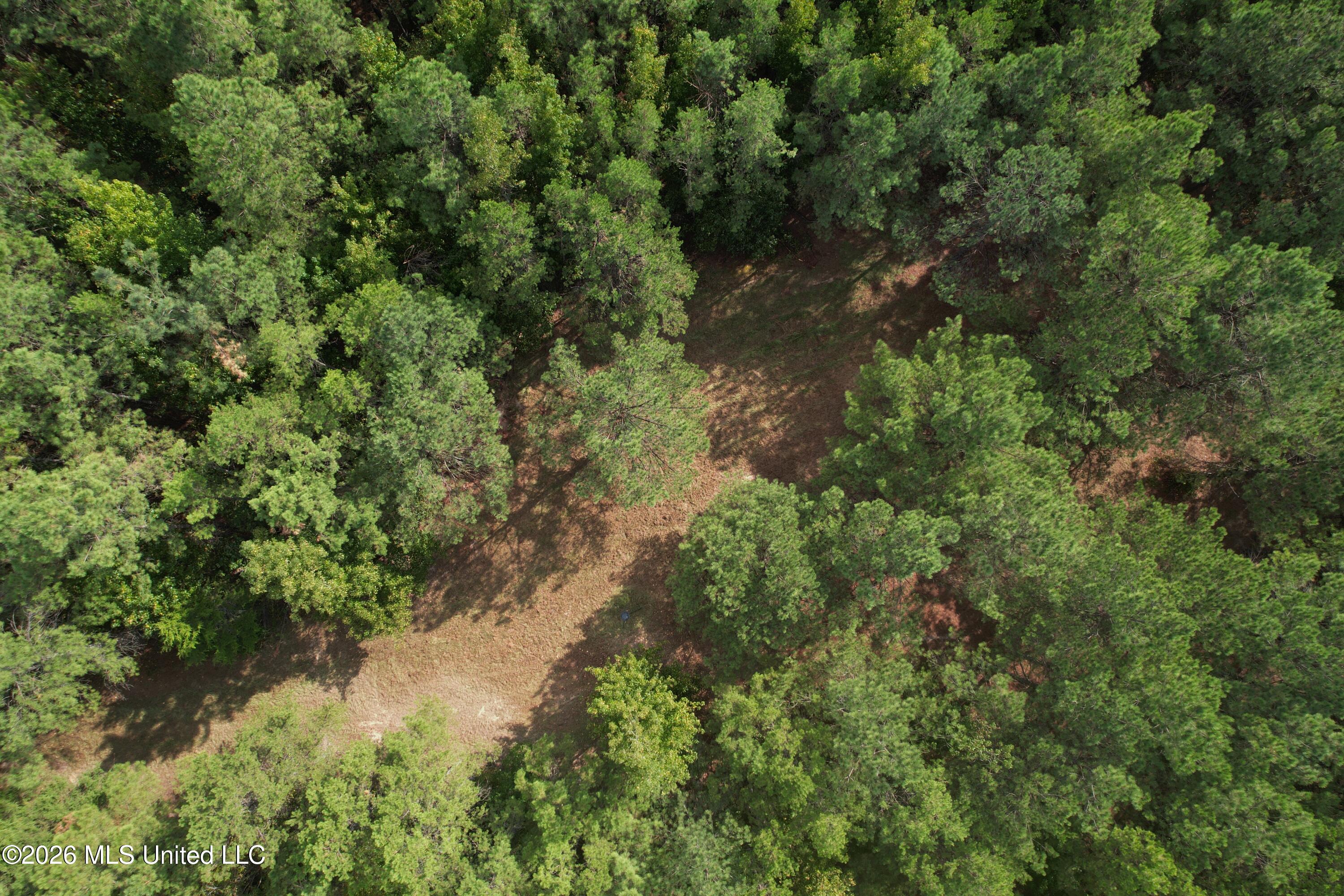 5529 Mlking Junior Drive Property Photo 6