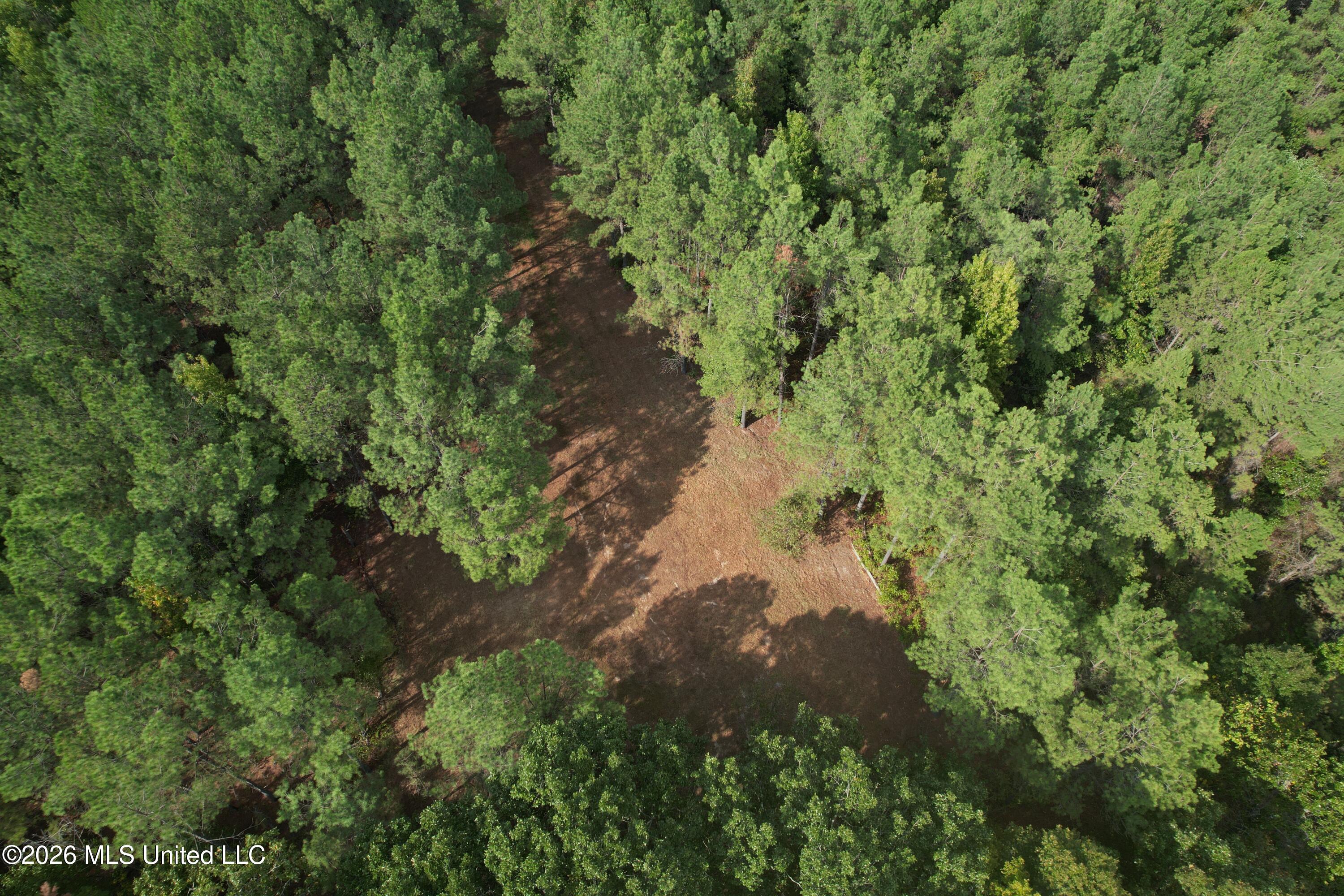 5529 Mlking Junior Drive Property Photo 7