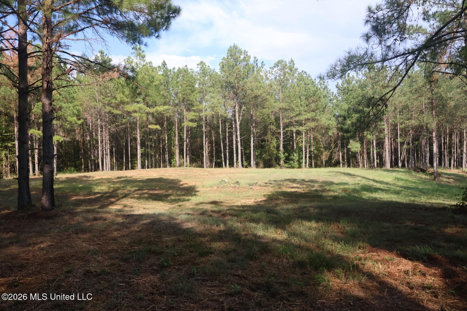 5529 Mlking Junior Drive Property Photo 9