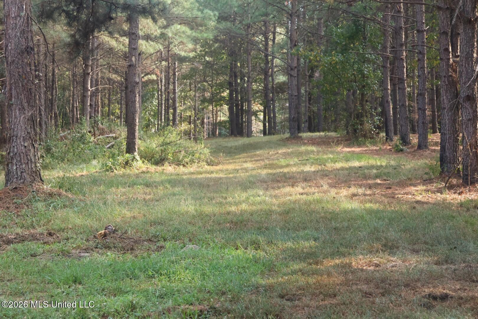 5529 Mlking Junior Drive Property Photo 12